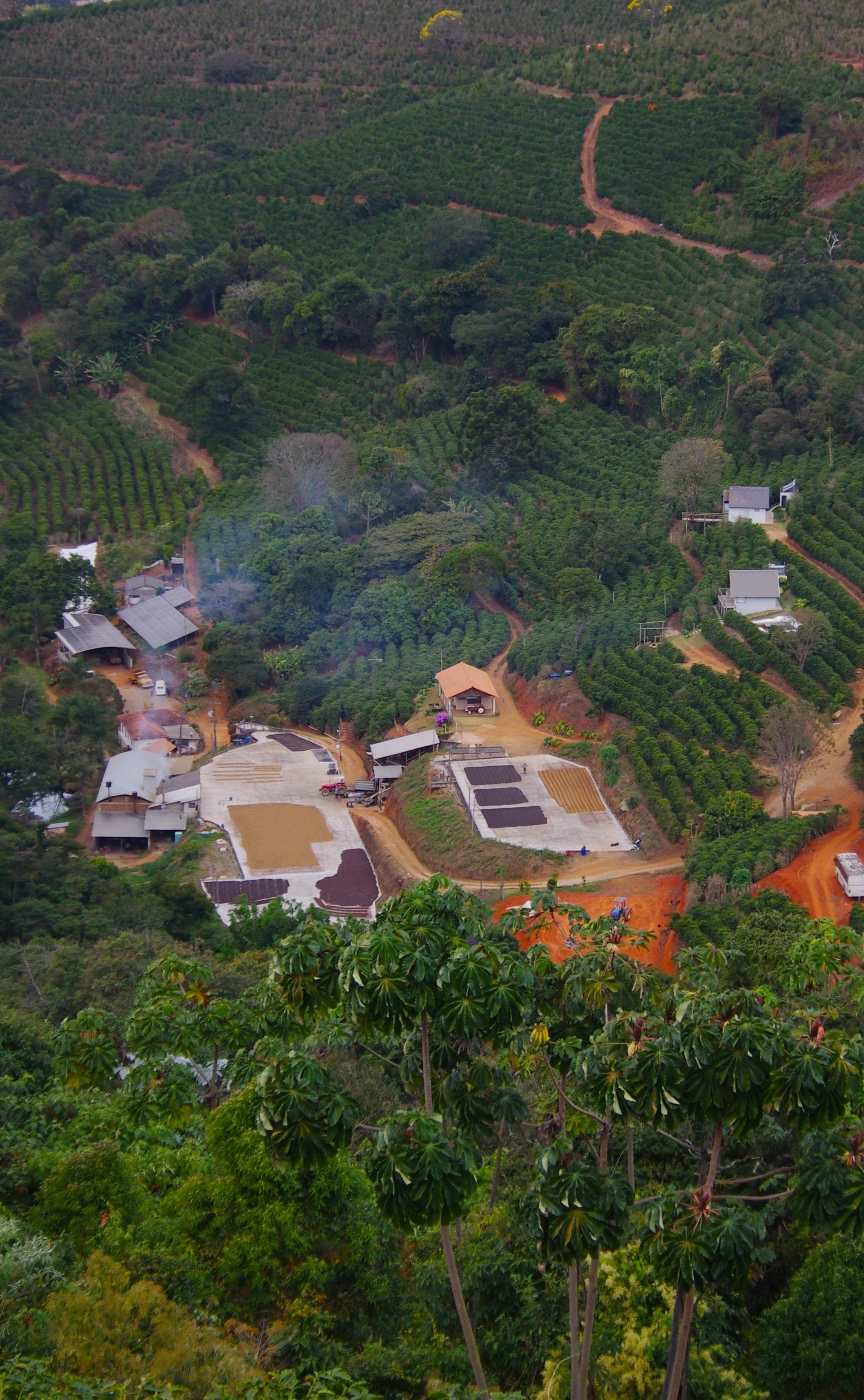 Sitio Da Torre Drying.JPG