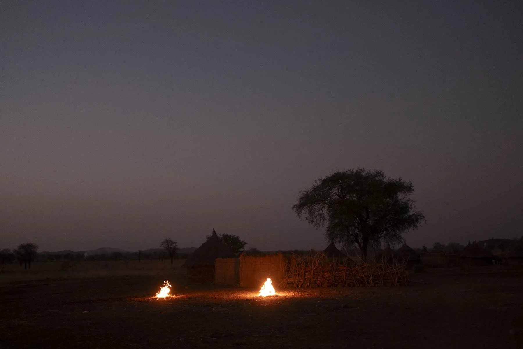 A rural scene at dusk or dawn with a large tree, small huts, and two small fires on the ground in an open landscape.