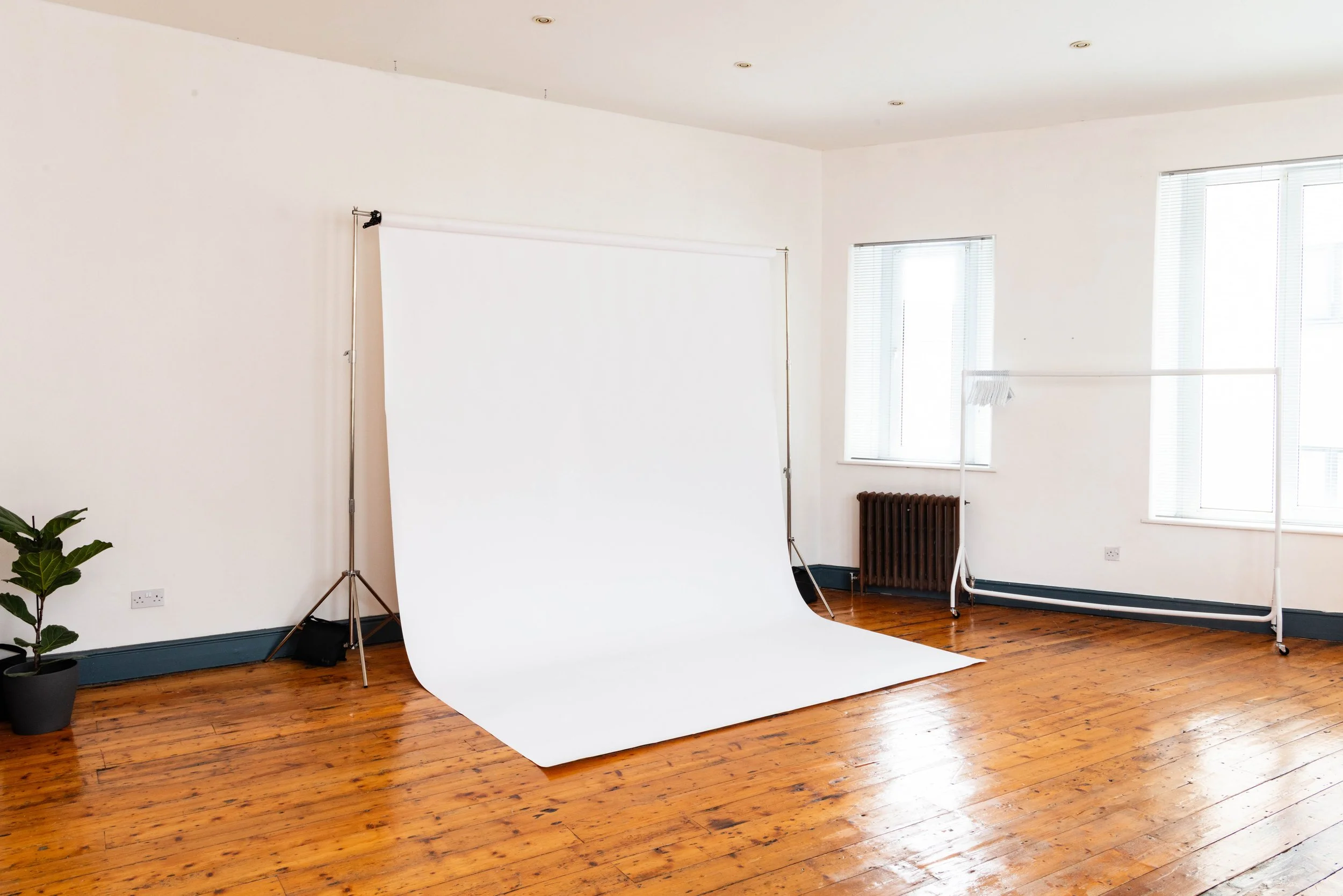 Photo of an empty photo studio with a white backdrop, natural light coming through two large windows, wooden floor, and a potted plant in the corner.
