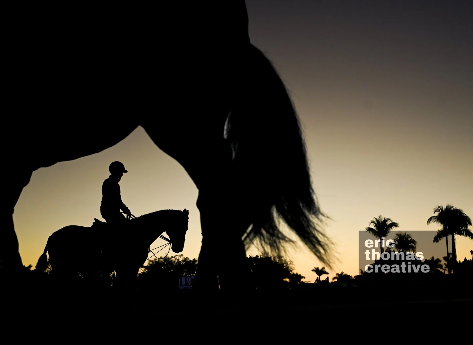 EricThomasEquestrian-11.jpg