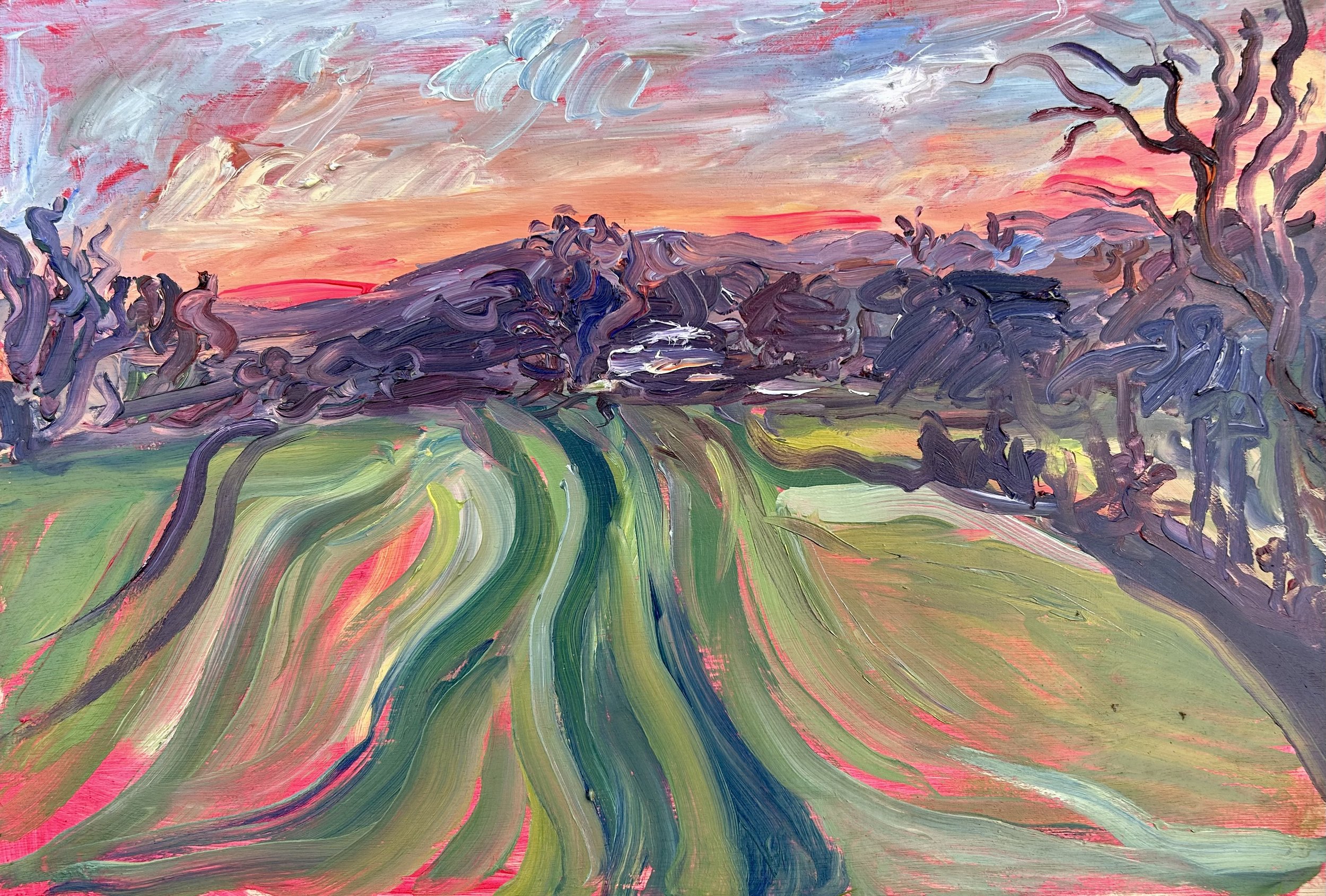 Last light over the fields