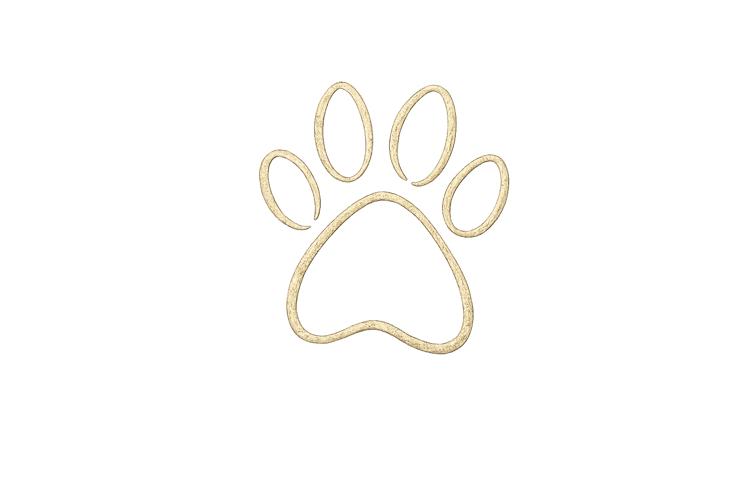 Close-up of a dog’s paws representing detailed grooming and paw care.