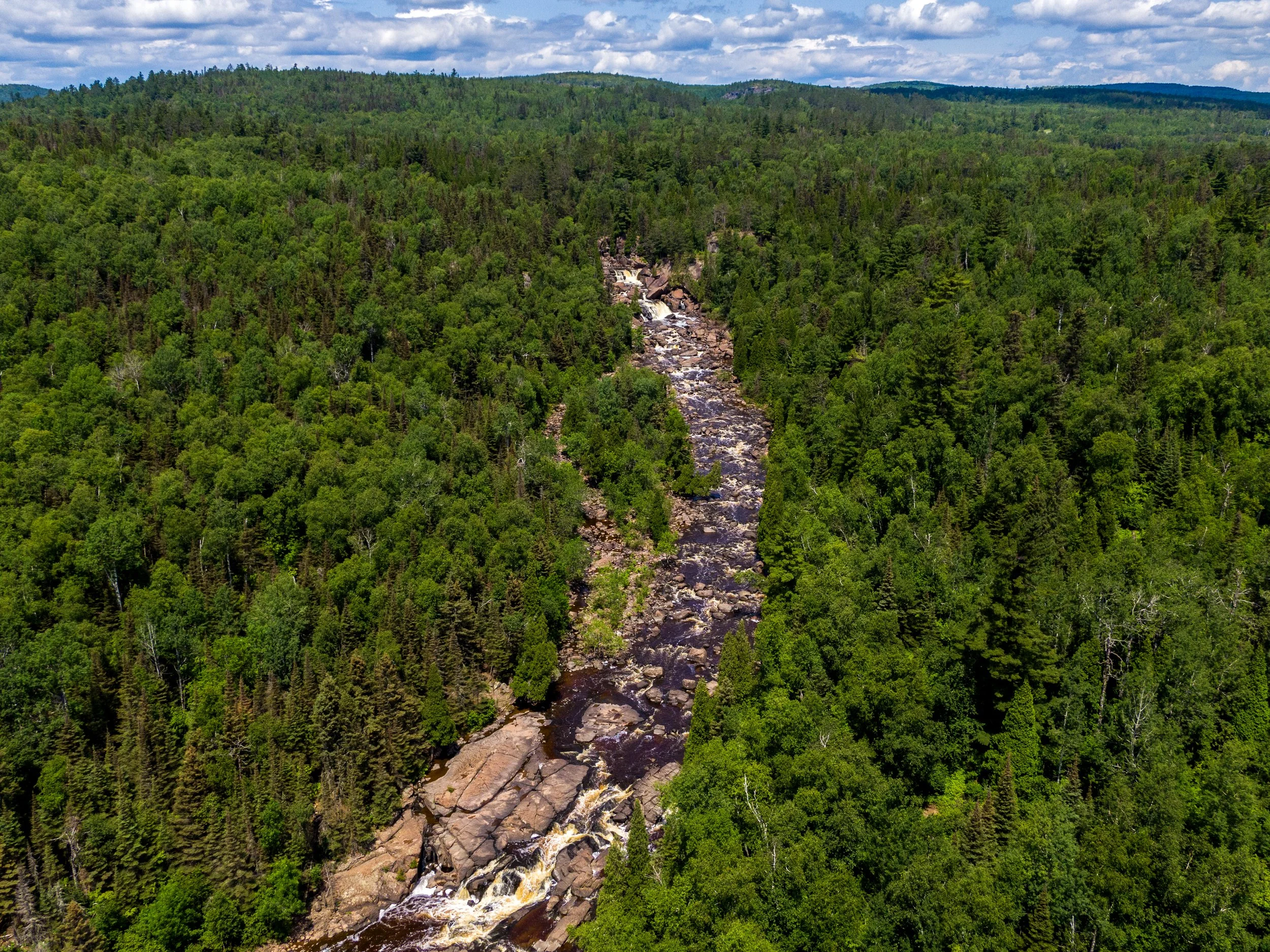 DJI_0905.jpg