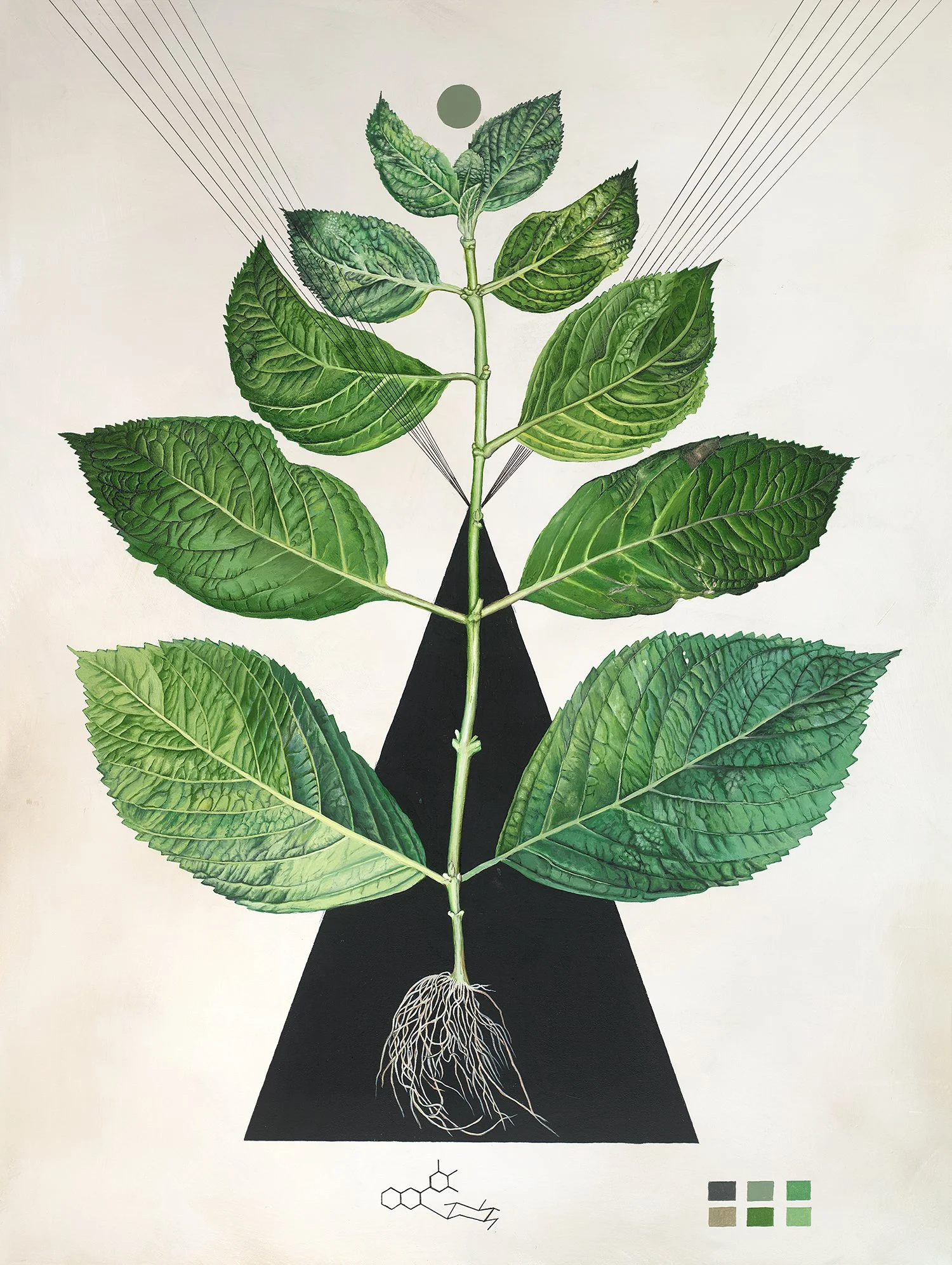 Hydrangea    Gouache and acrylic on panel, 30” x 40”    sold