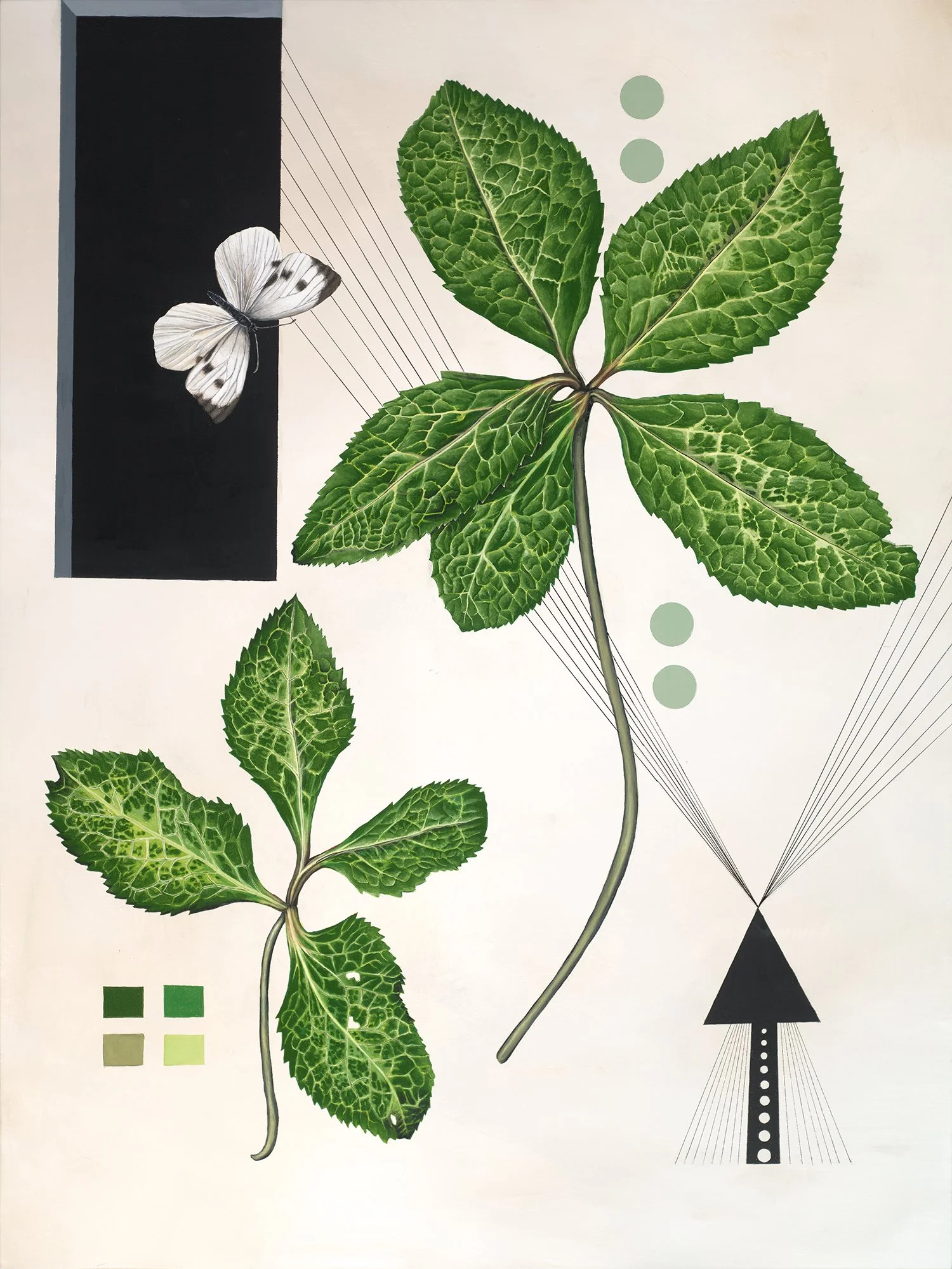 Helleborus    Gouache and acrylic on panel, 30” x 40”    sold