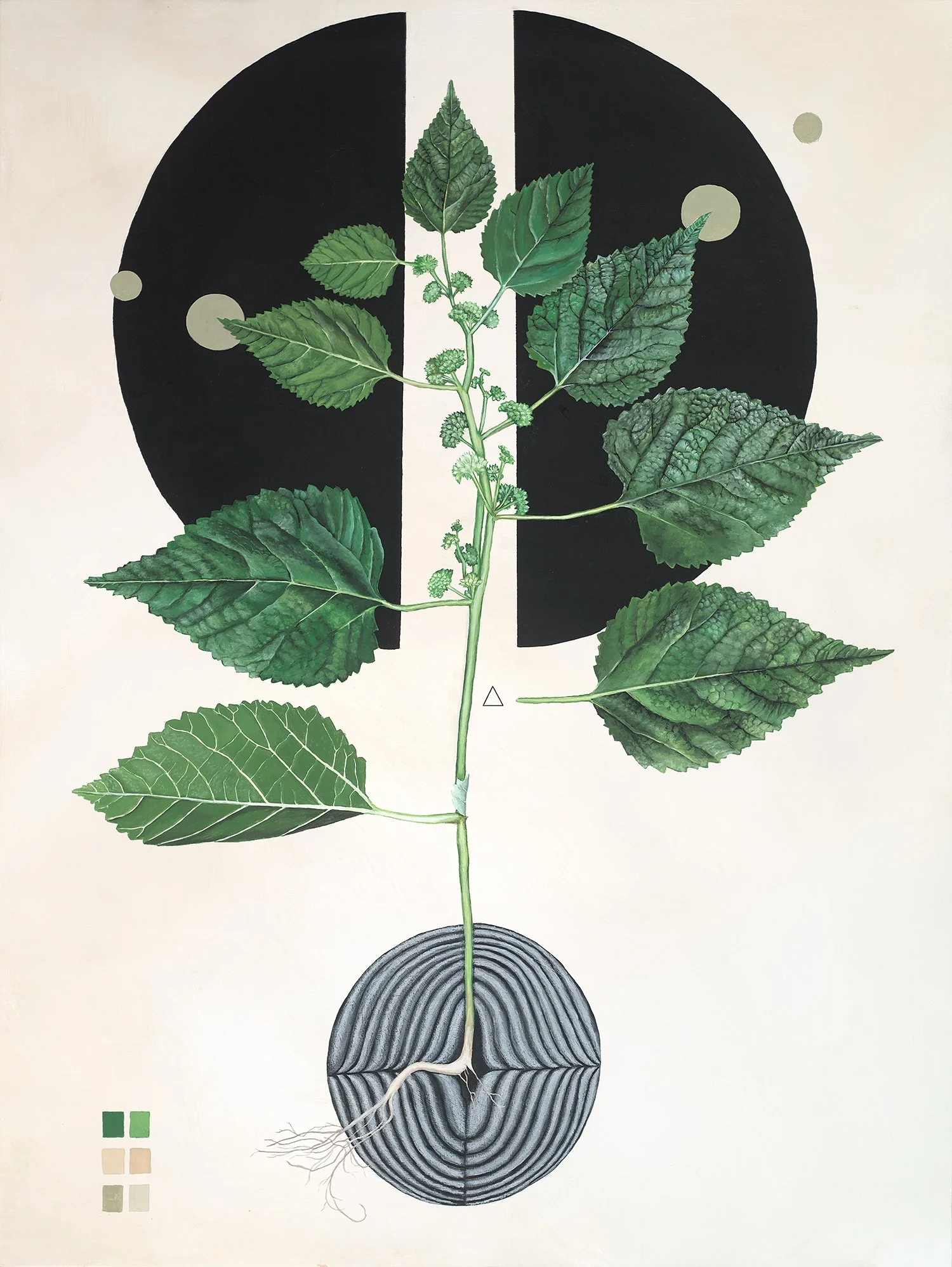 Morus    Gouache and acrylic panel, 30” x 40”    sold