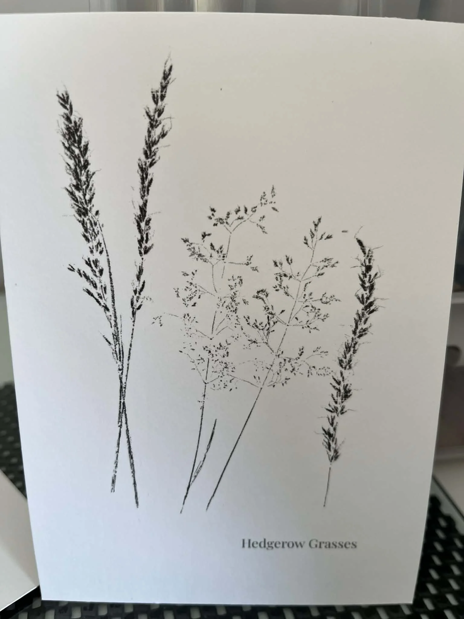 Hedgerow Grasses Postcard.jpg