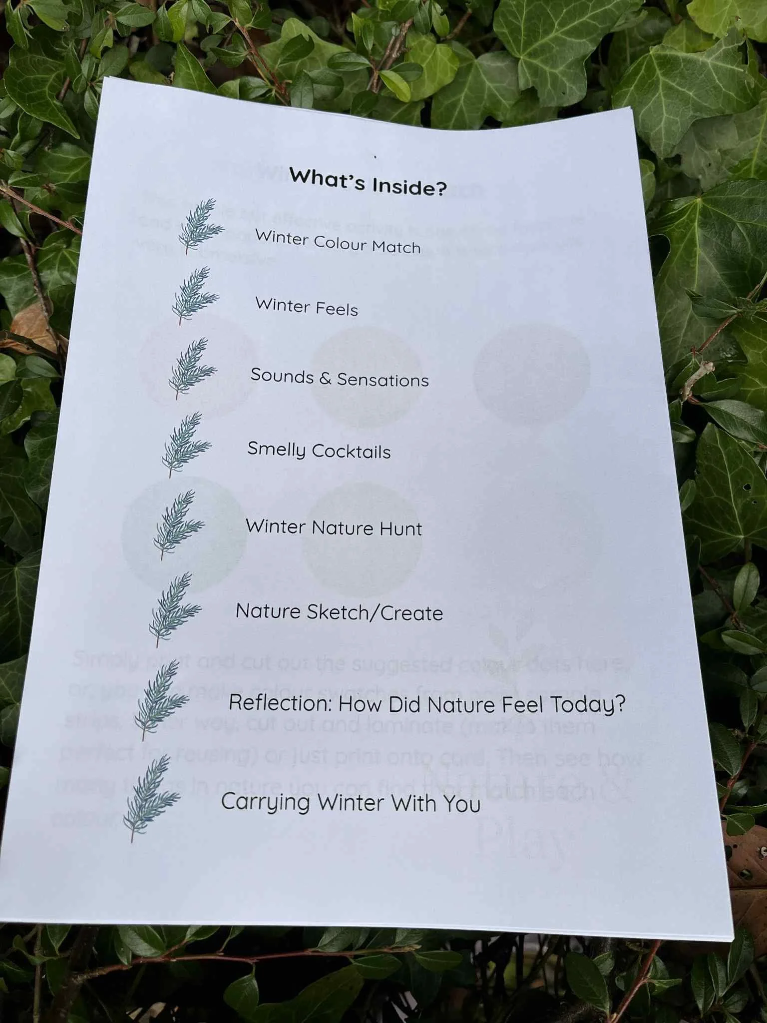 Winter Nature & Play3.jpg