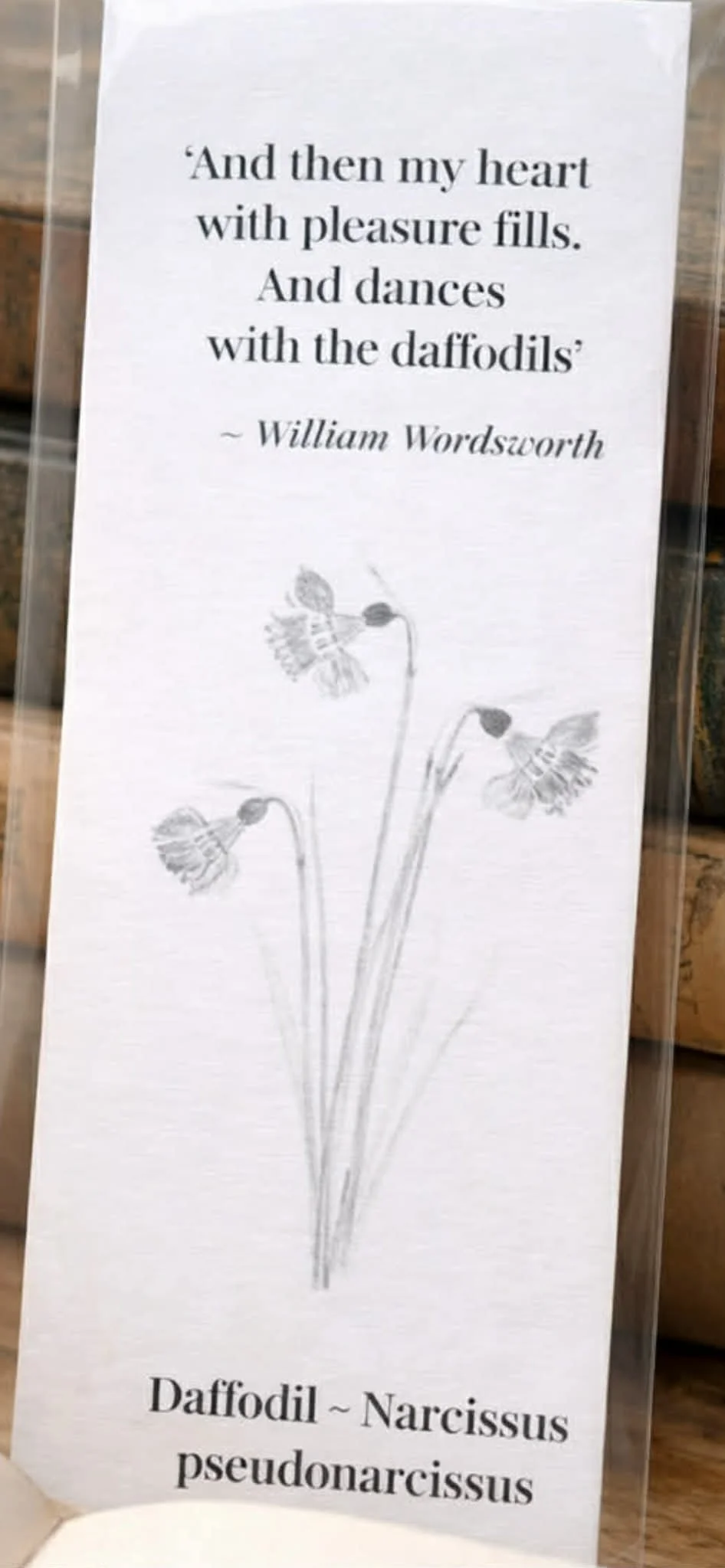 Quote Book Close Up Daffodil.jpg