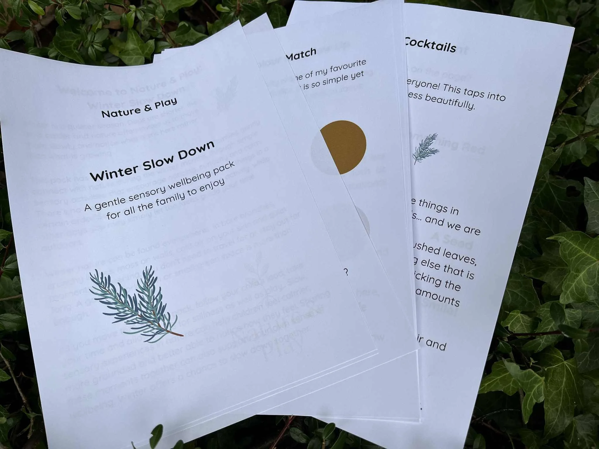 Winter Nature & Play2.jpg