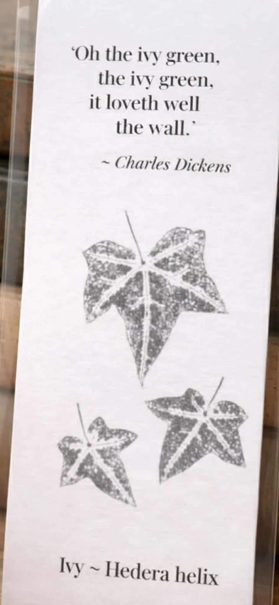 Quote Book Close Up Ivy.jpg