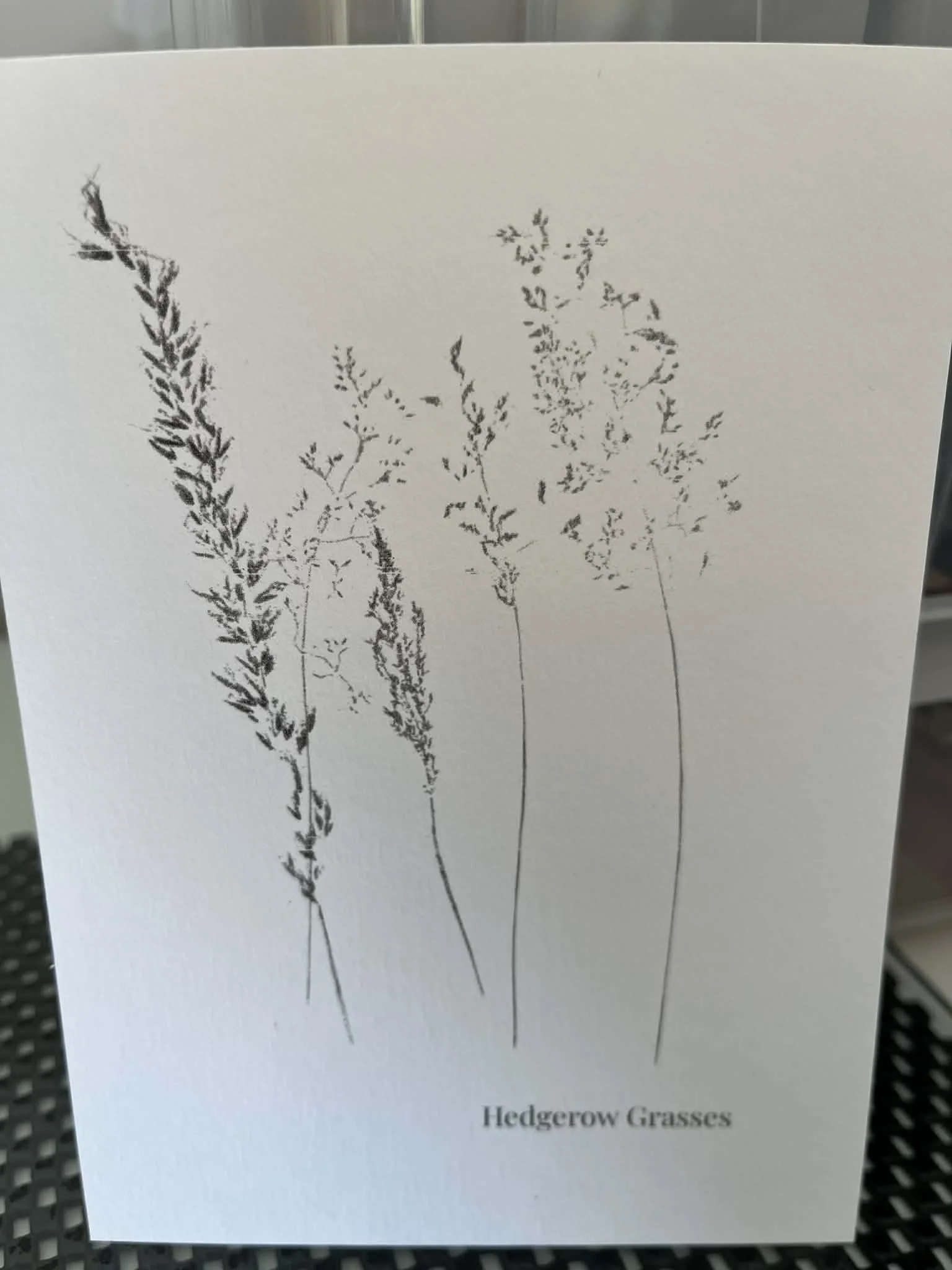 Hedgerow Grasses 2 Postcard.jpg