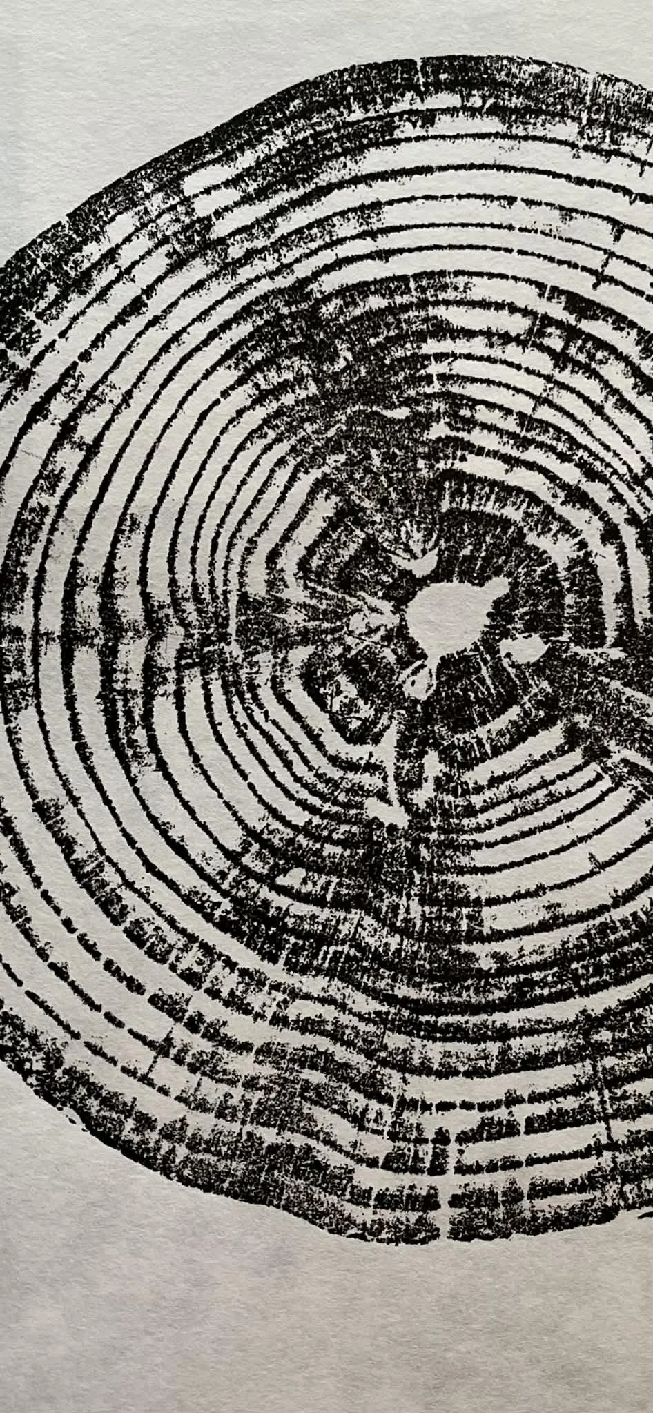 Monkey Puzzle Burnt Umber 3.jpg