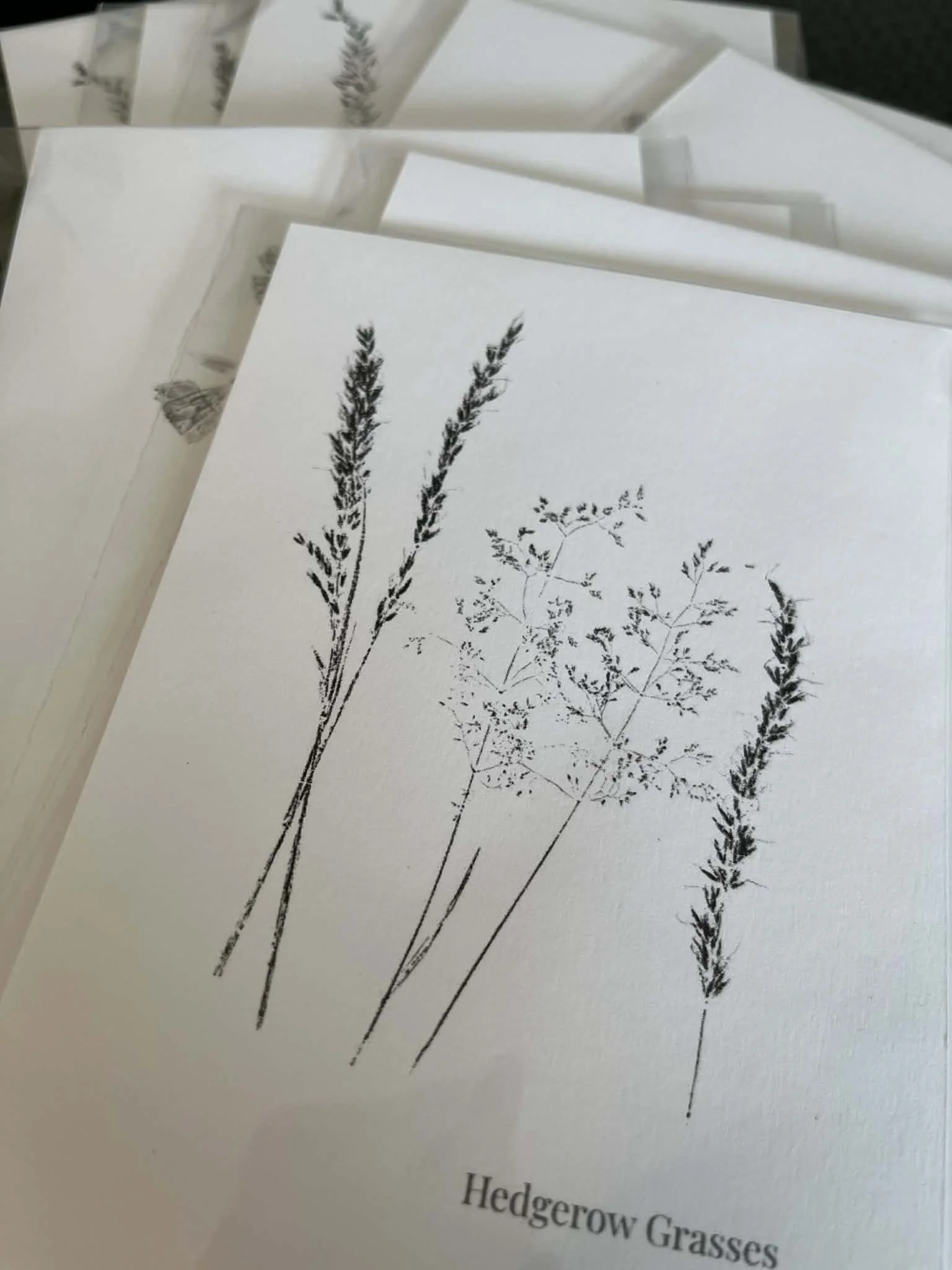 Postcard Multiple.jpg