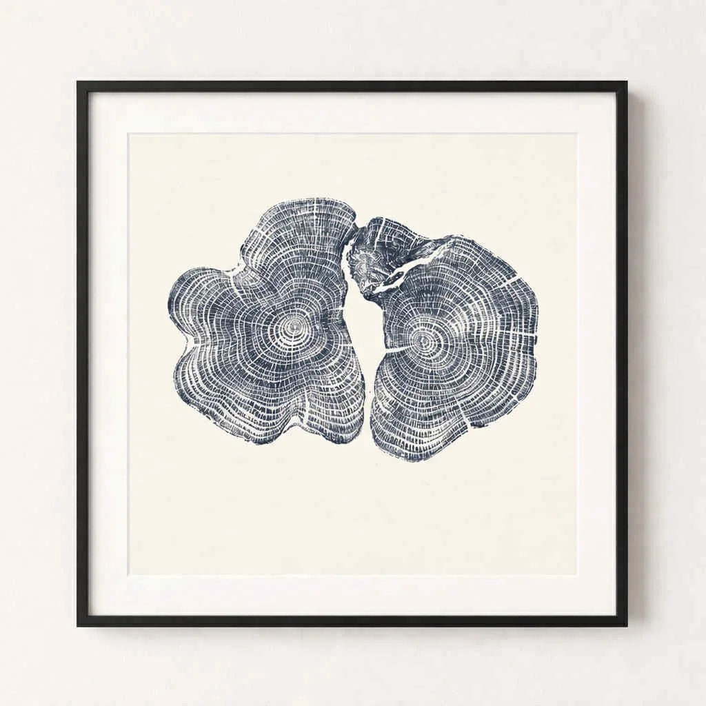 Framed Tree Ring Yew.jpg