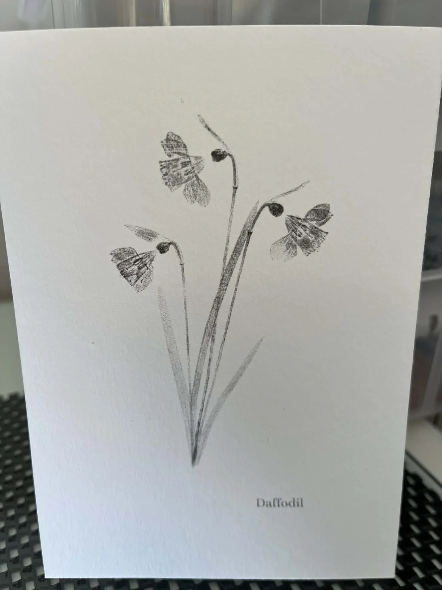 Daffodil Postcard.jpg
