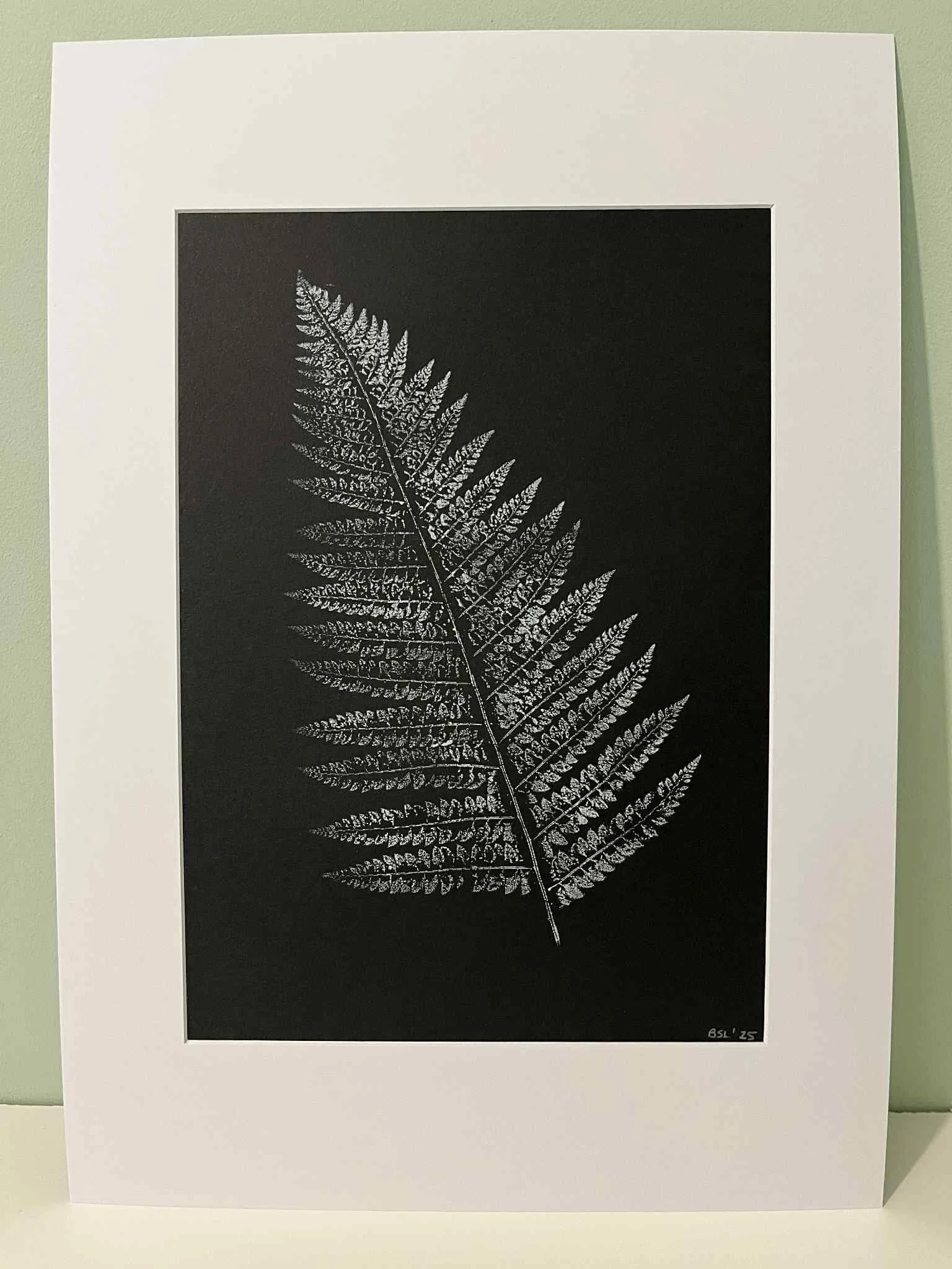 Fern on black.jpg