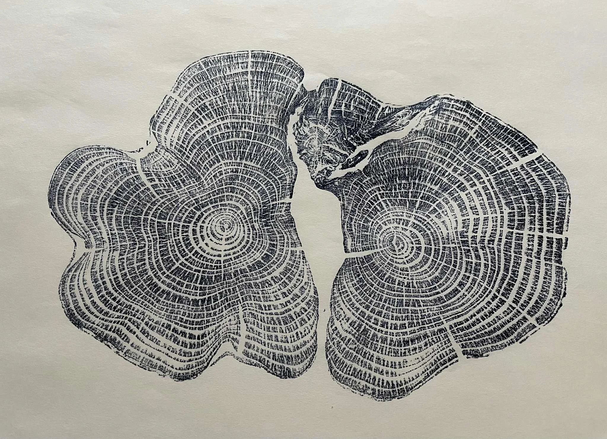 Life Size Original Yew Ring Print (Dark Blue)