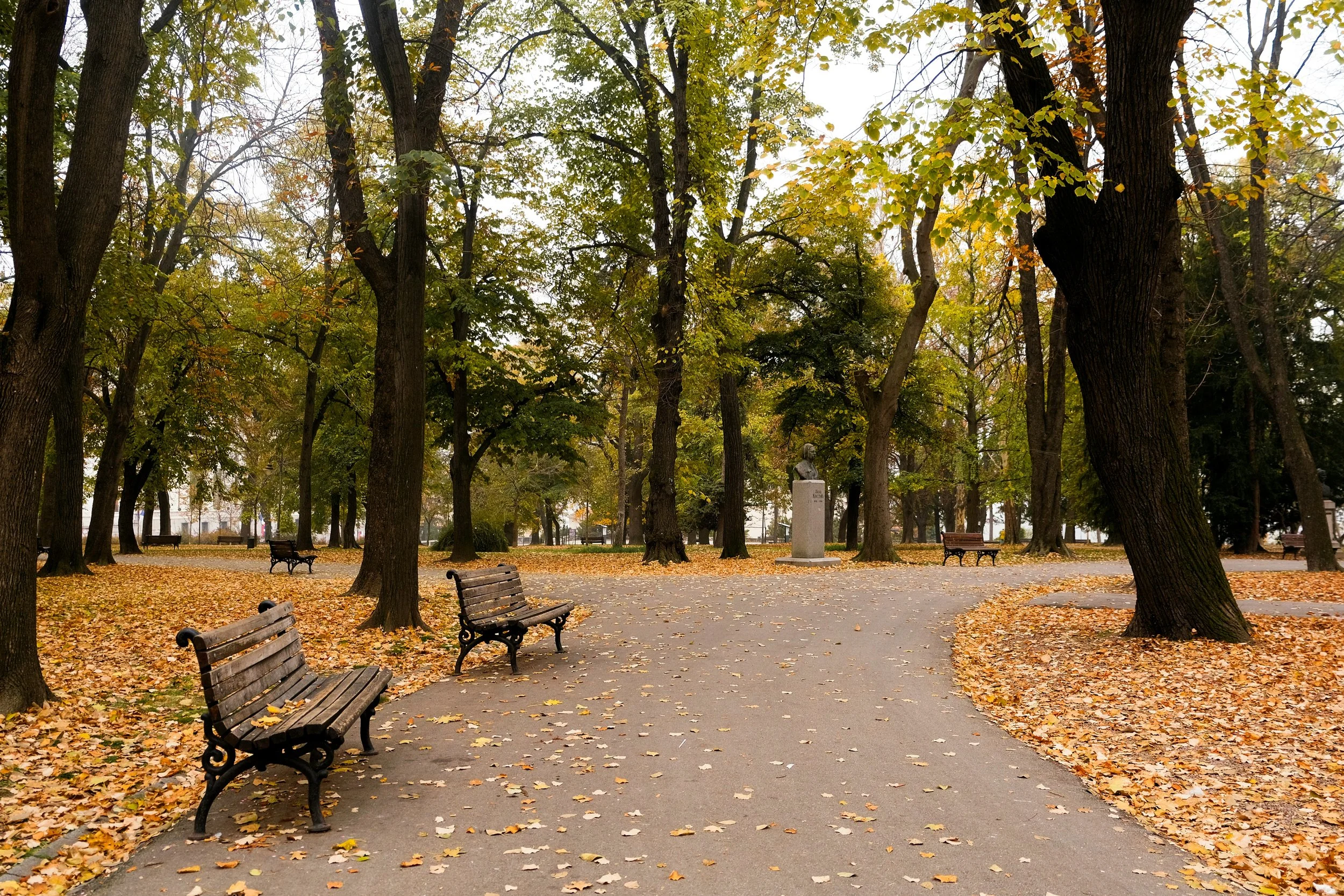 A park scene with a winding path lined with fallen autumn leaves and wooden benches, surrounded by tall trees with green and yellow leaves, and a statue on a pedestal in the background.