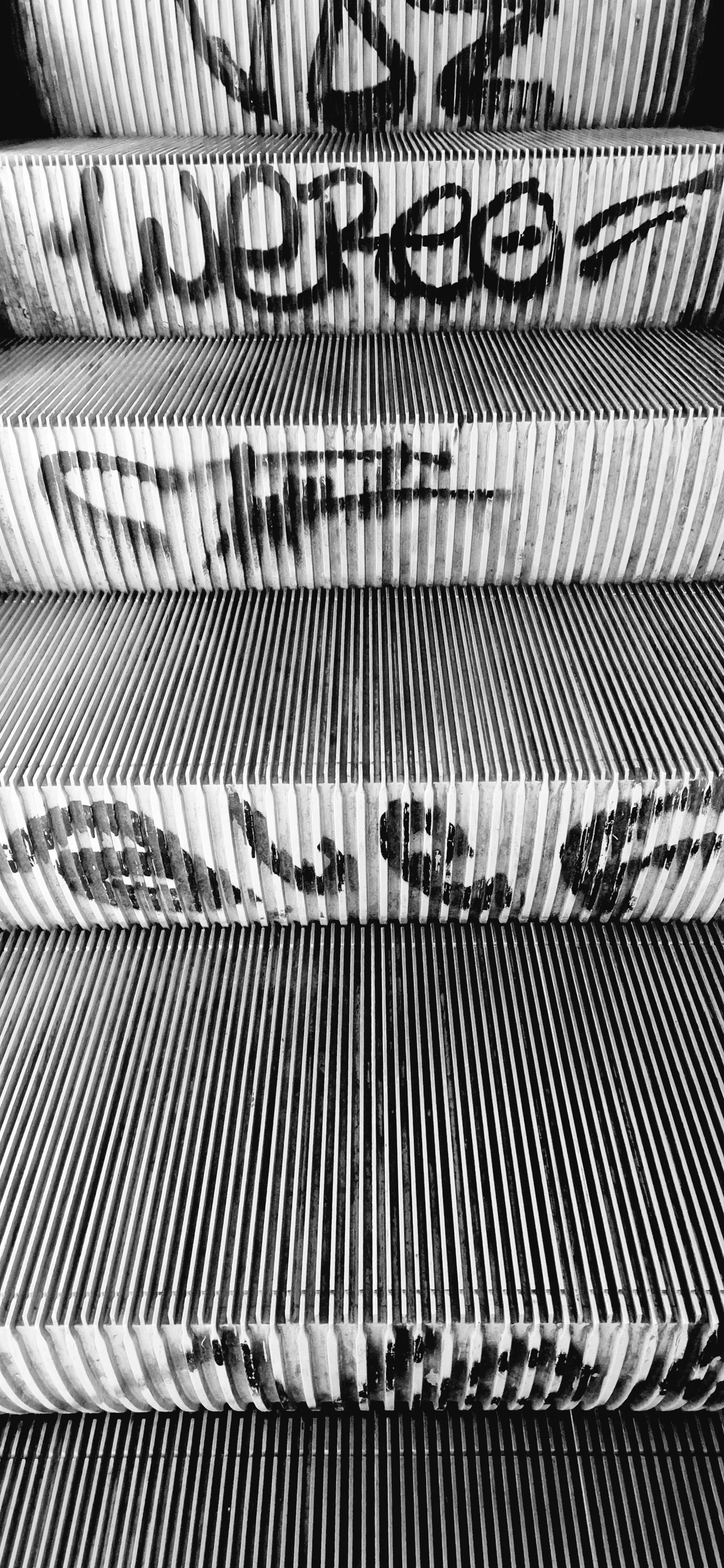 20260501_193102.jpg