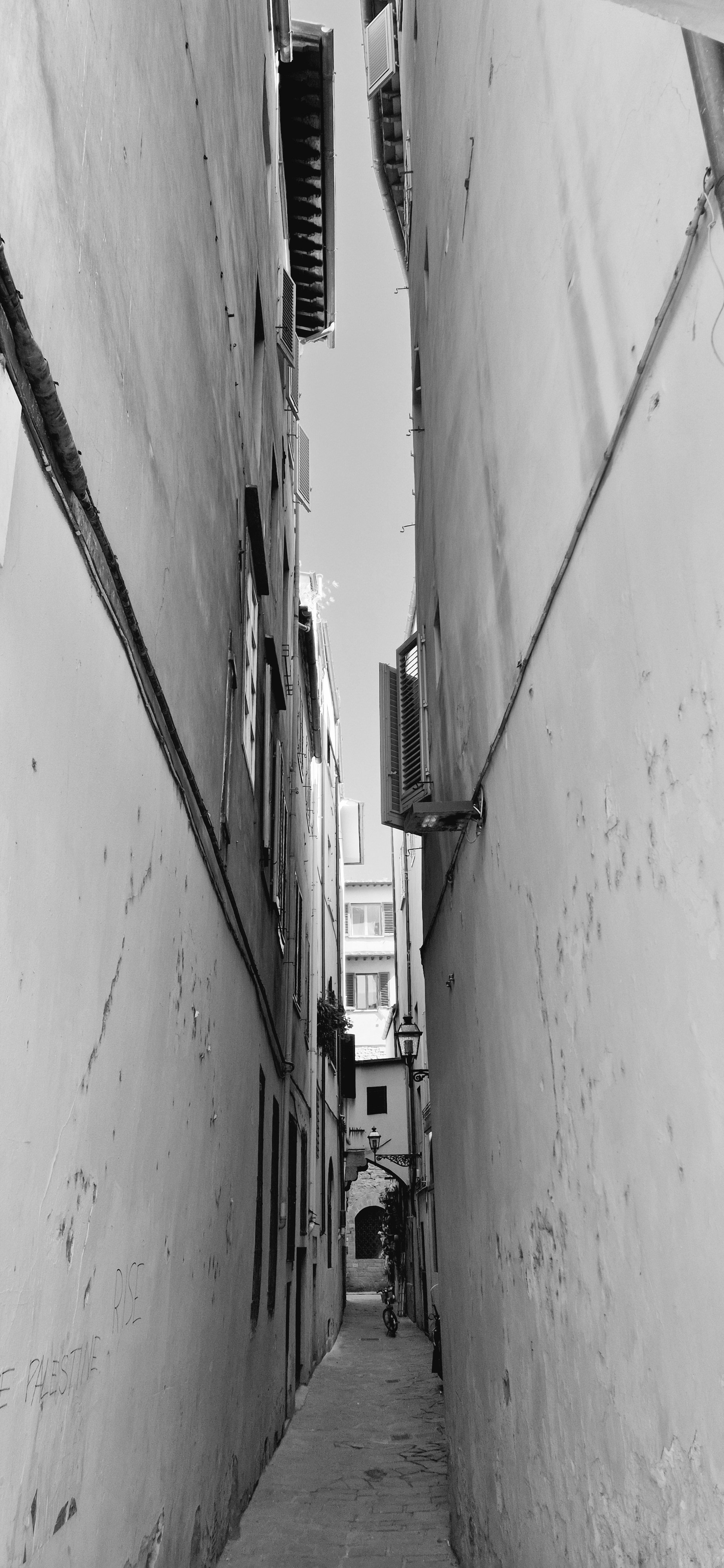 20260409_114008.jpg