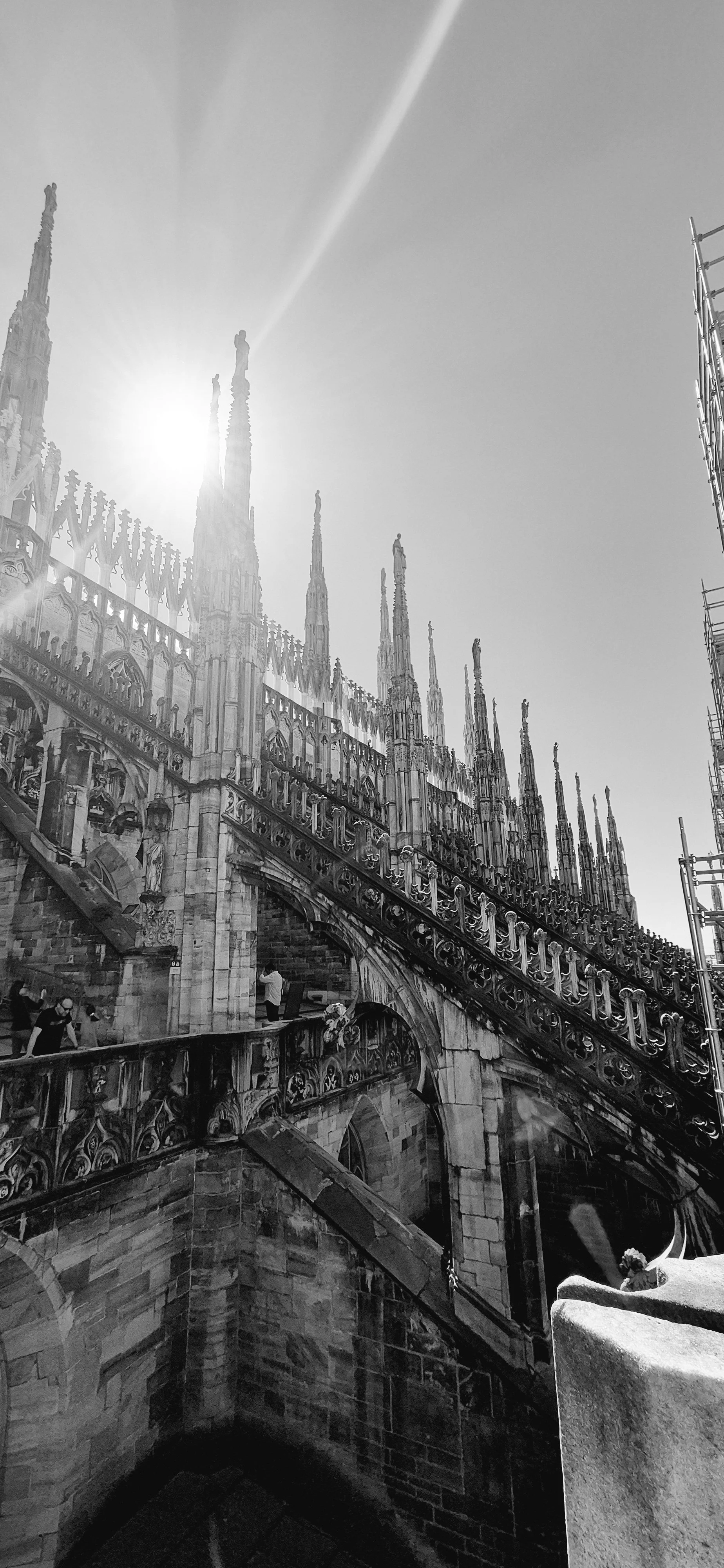 20260406_153033.jpg