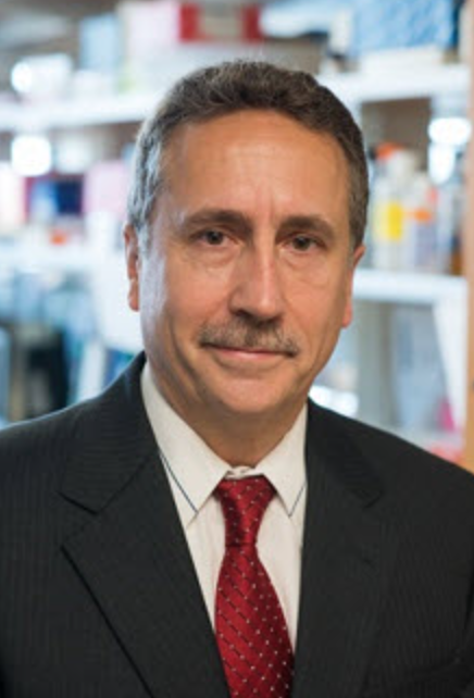 Global Cancer Consortium and Global Cancer Consortia