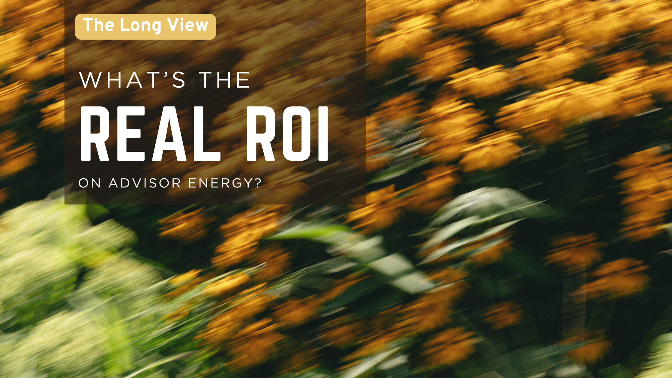 The Compounding Effect of Advisor Energy: Why Your Capacity Shapes Client Outcomes