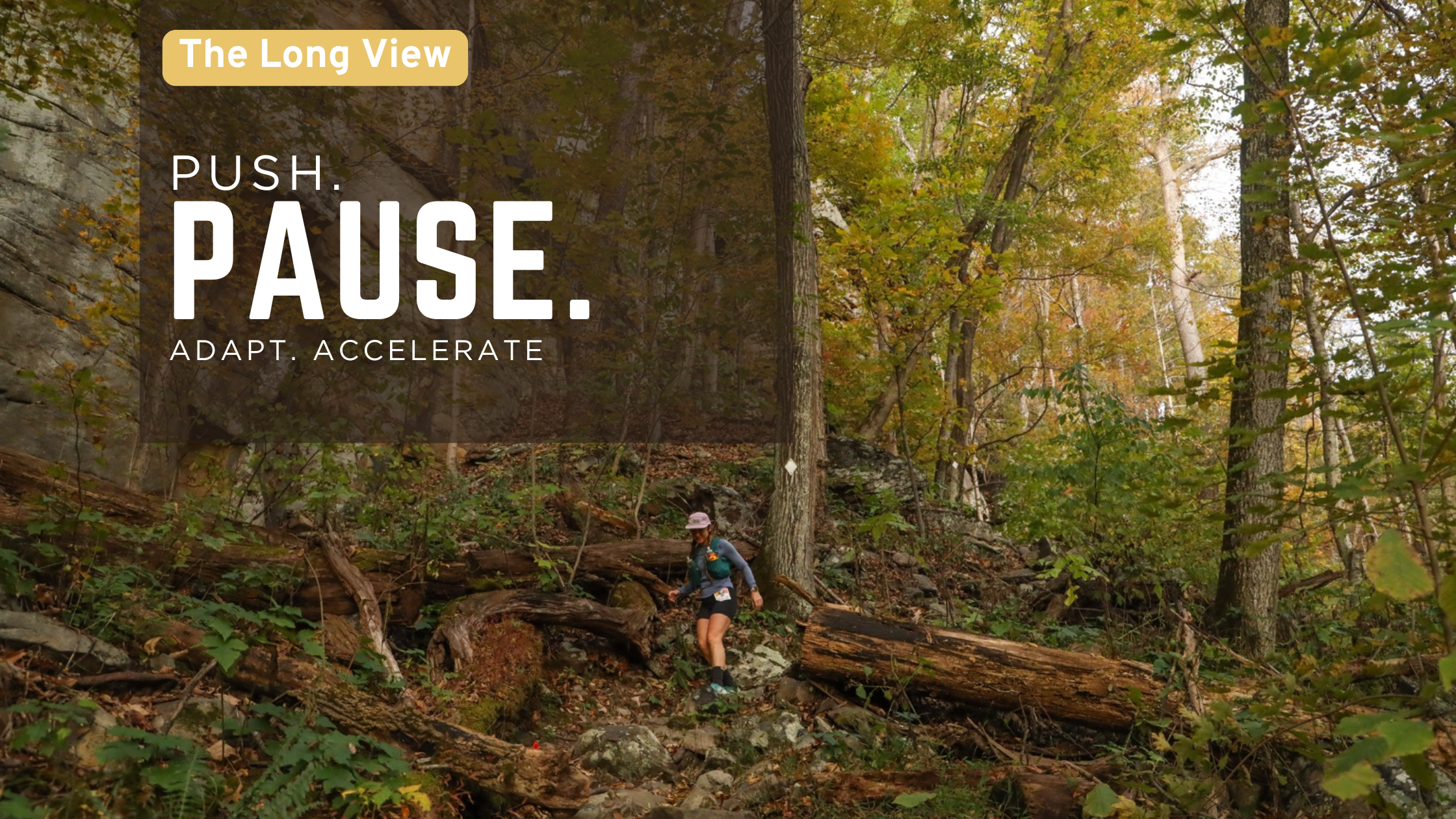 The Rhythm That Carries Us Forward