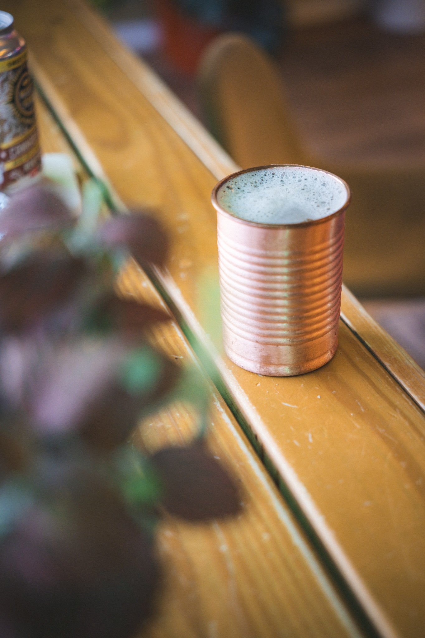 florida cannabis cafe, dunedin hemp company