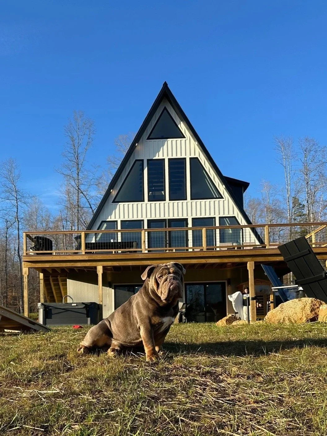 Bringing Your Dog to the Blue Ridge Mountains (Nelson County Dog-Friendly Guide)