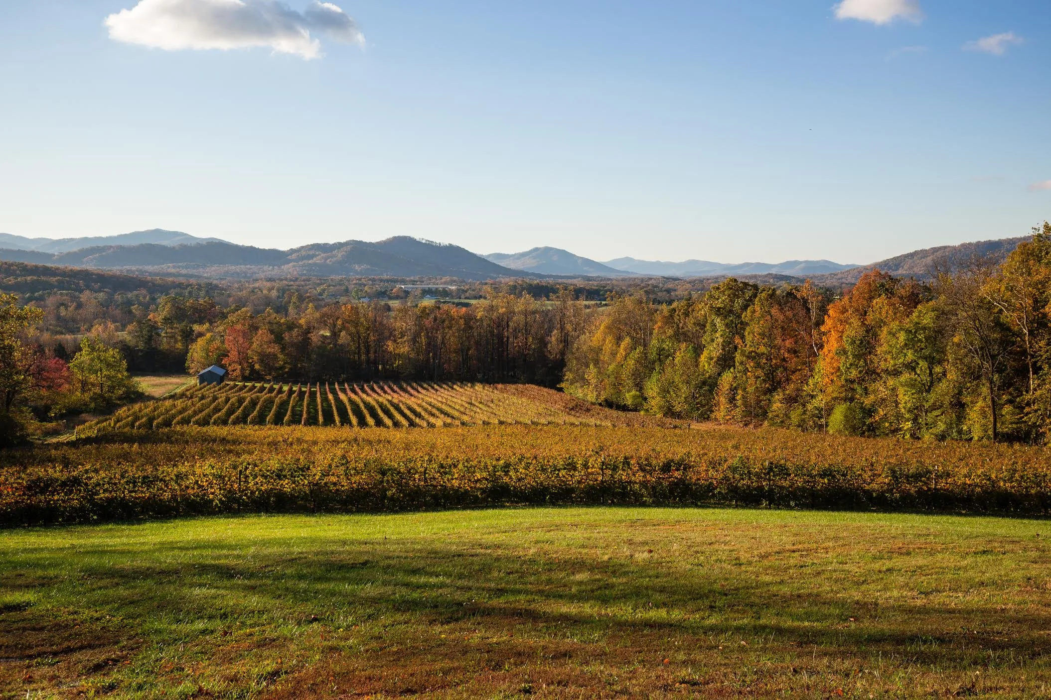 First Impressions of Nelson County, Virginia (And Why We Chose It)