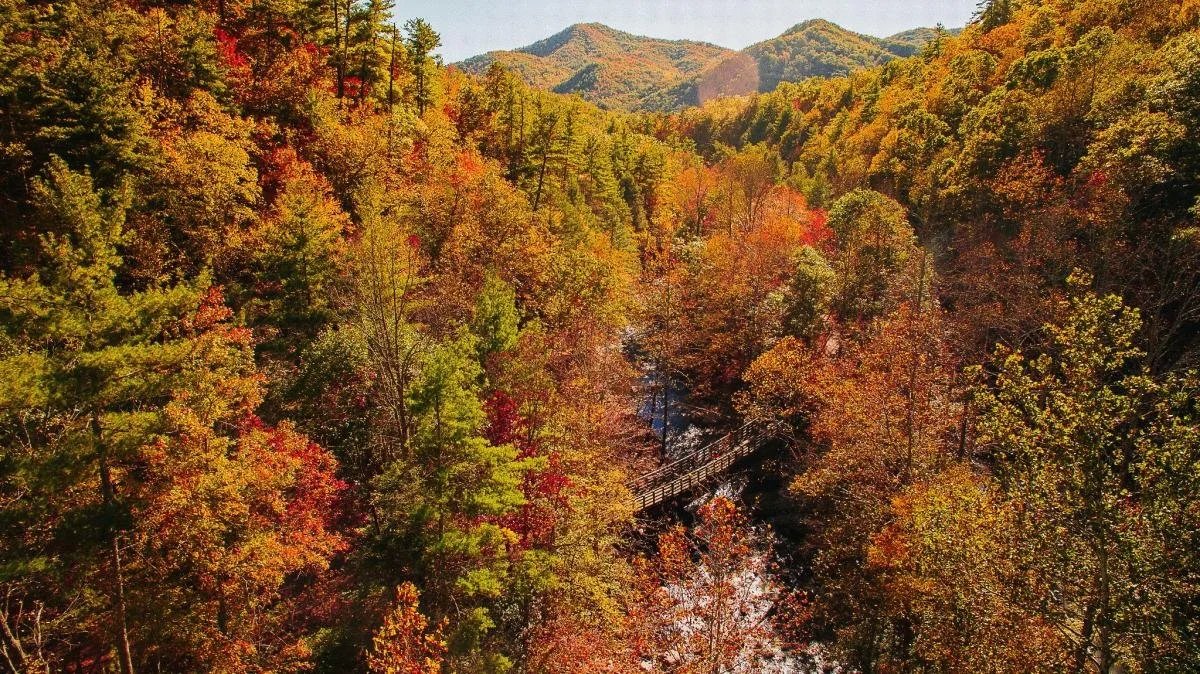 Fall in the Blue Ridge Mountains, Virginia (2026 Fall Foliage Guide Near Charlottesville &amp; Nelson County)