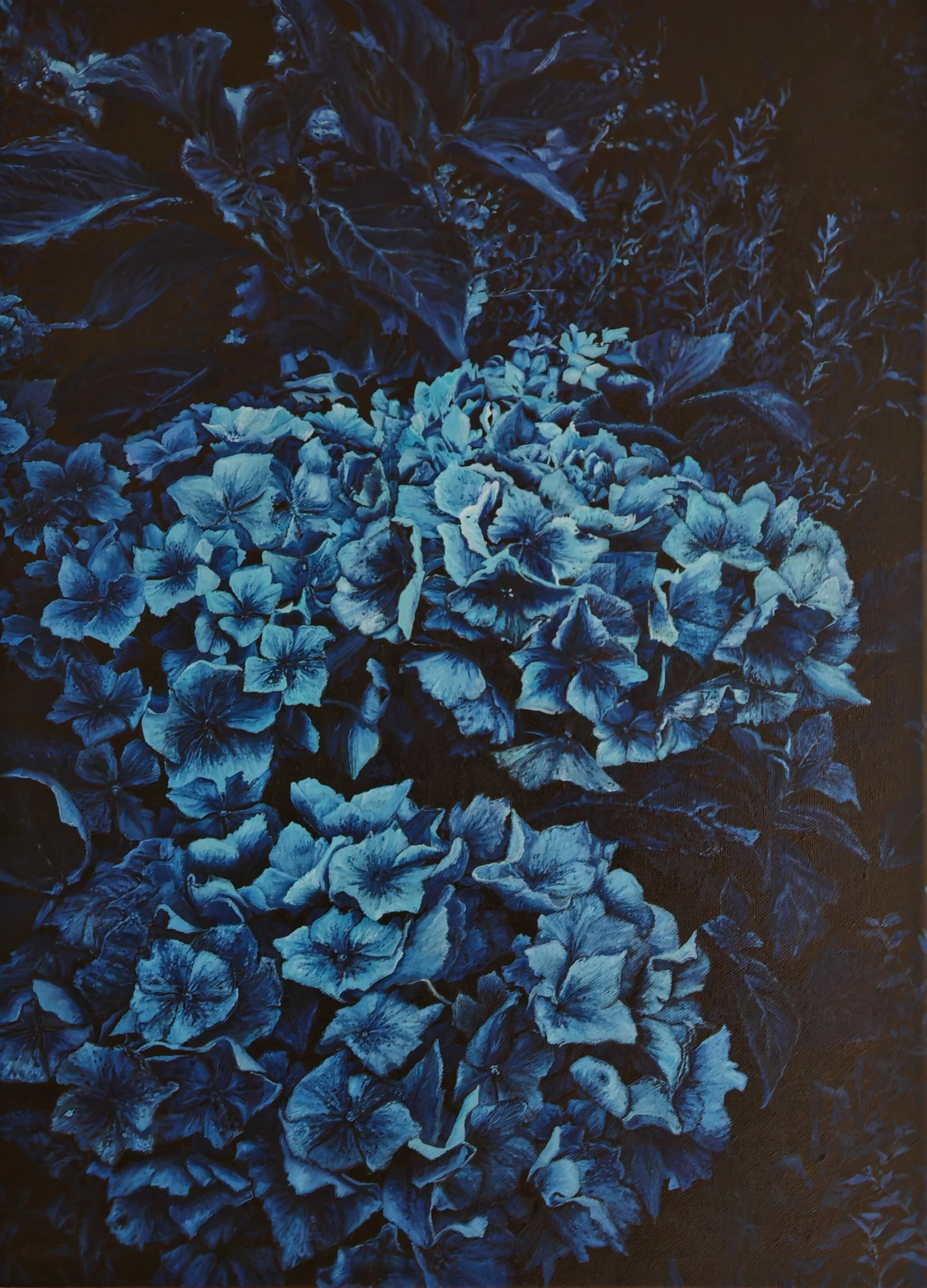 IMG_20260213_084912 (1).jpg