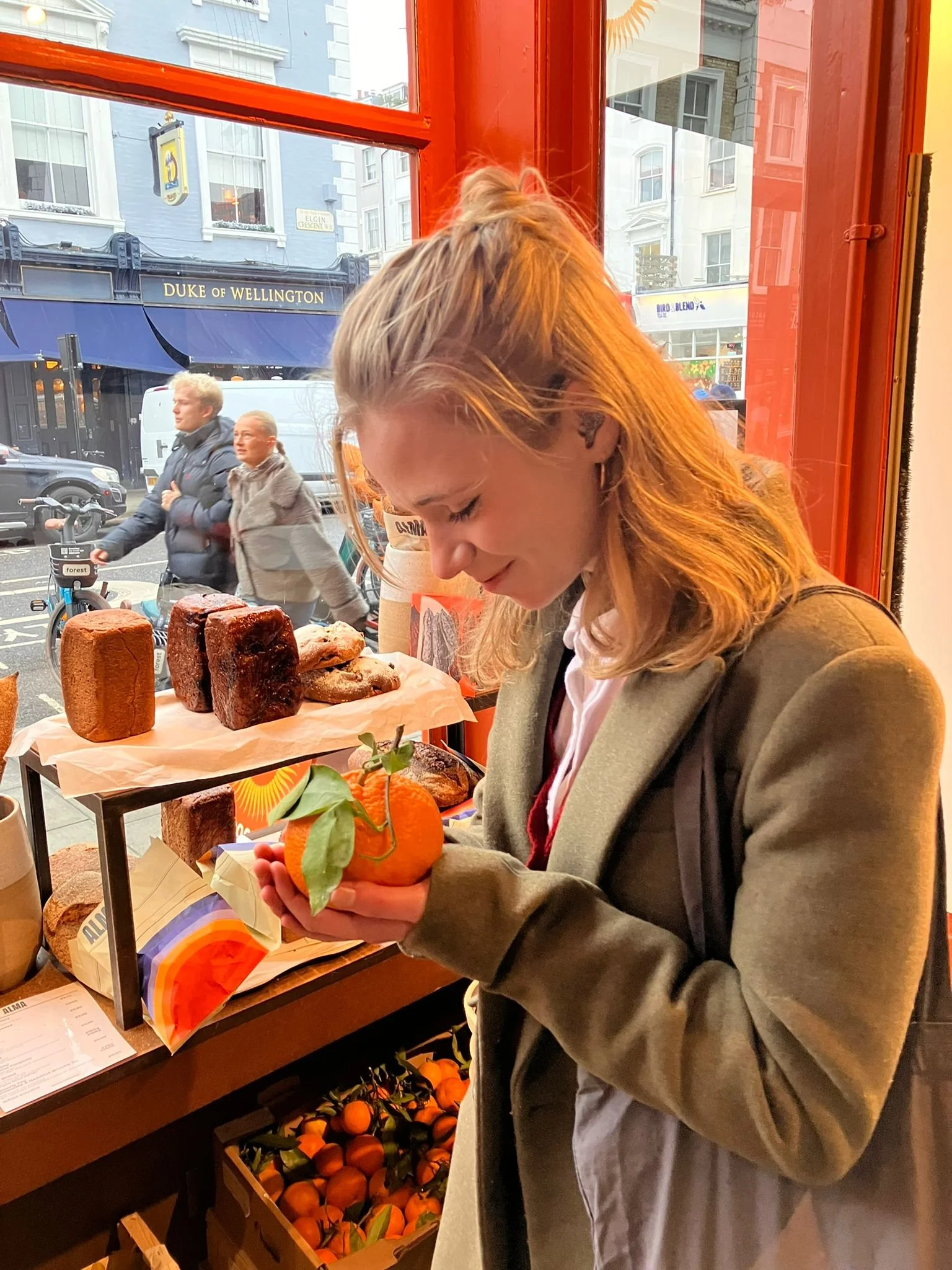 Signing the Quiet parts out loud 