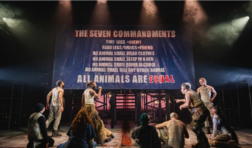 Observing Behind the Scenes of Amy Leach's Animal Farm