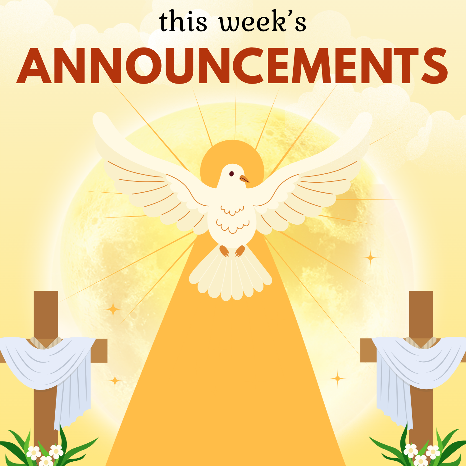 Announcements for May 24