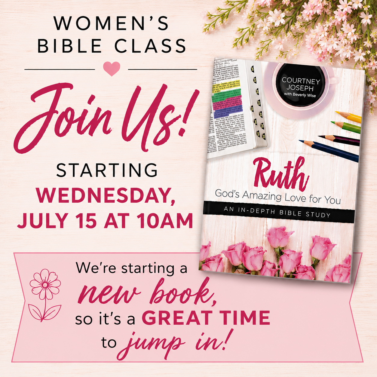 New Book for Wednesday’s Women’s Bible Class