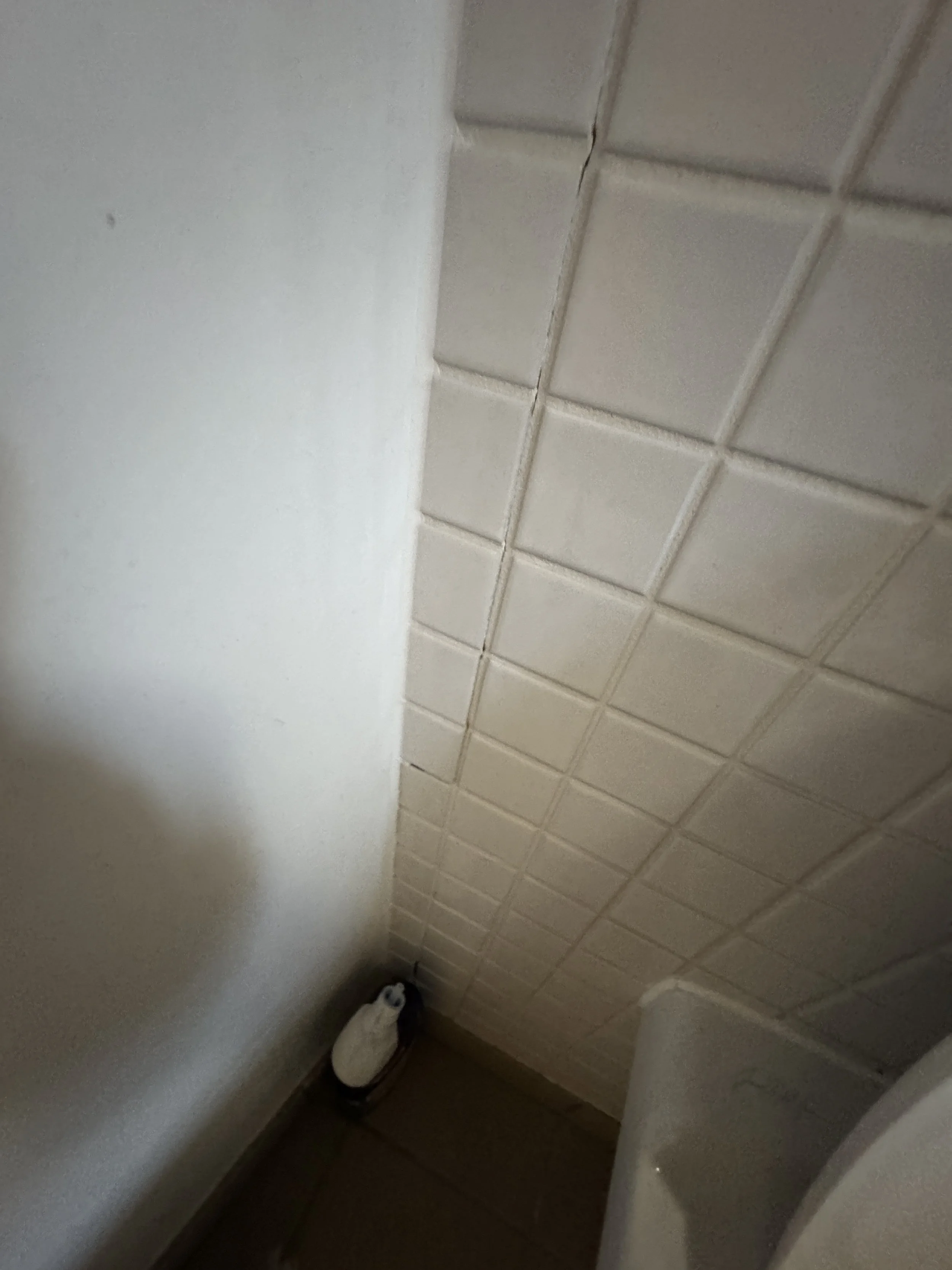 A bathroom corner with tiled wall, a white toilet paper roll, tissue box on the floor, and part of a toilet bowl.