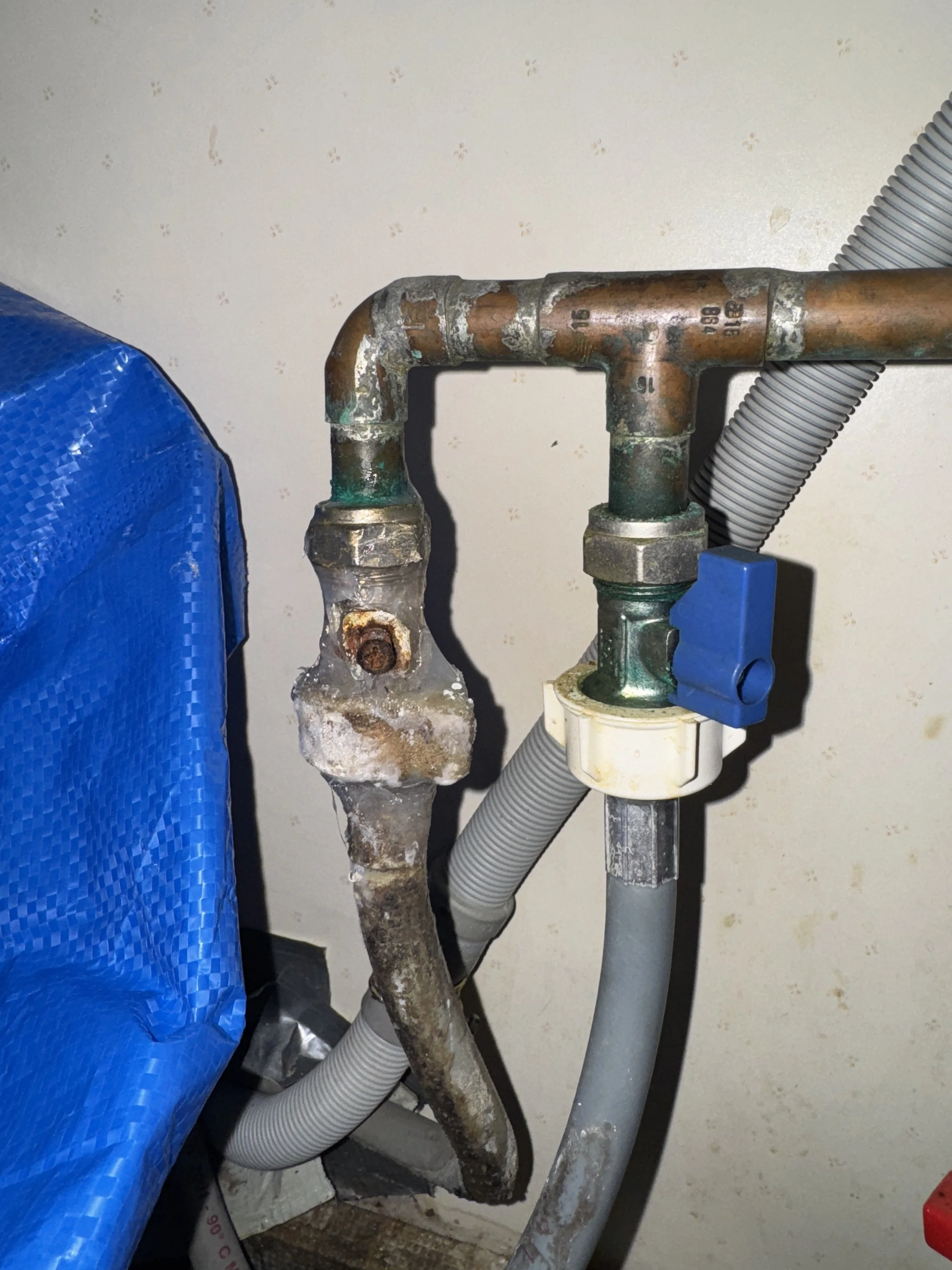 Close-up of rusty plumbing and pipes against a wall, with a blue pipe insulation and gray flexible tubing visible.