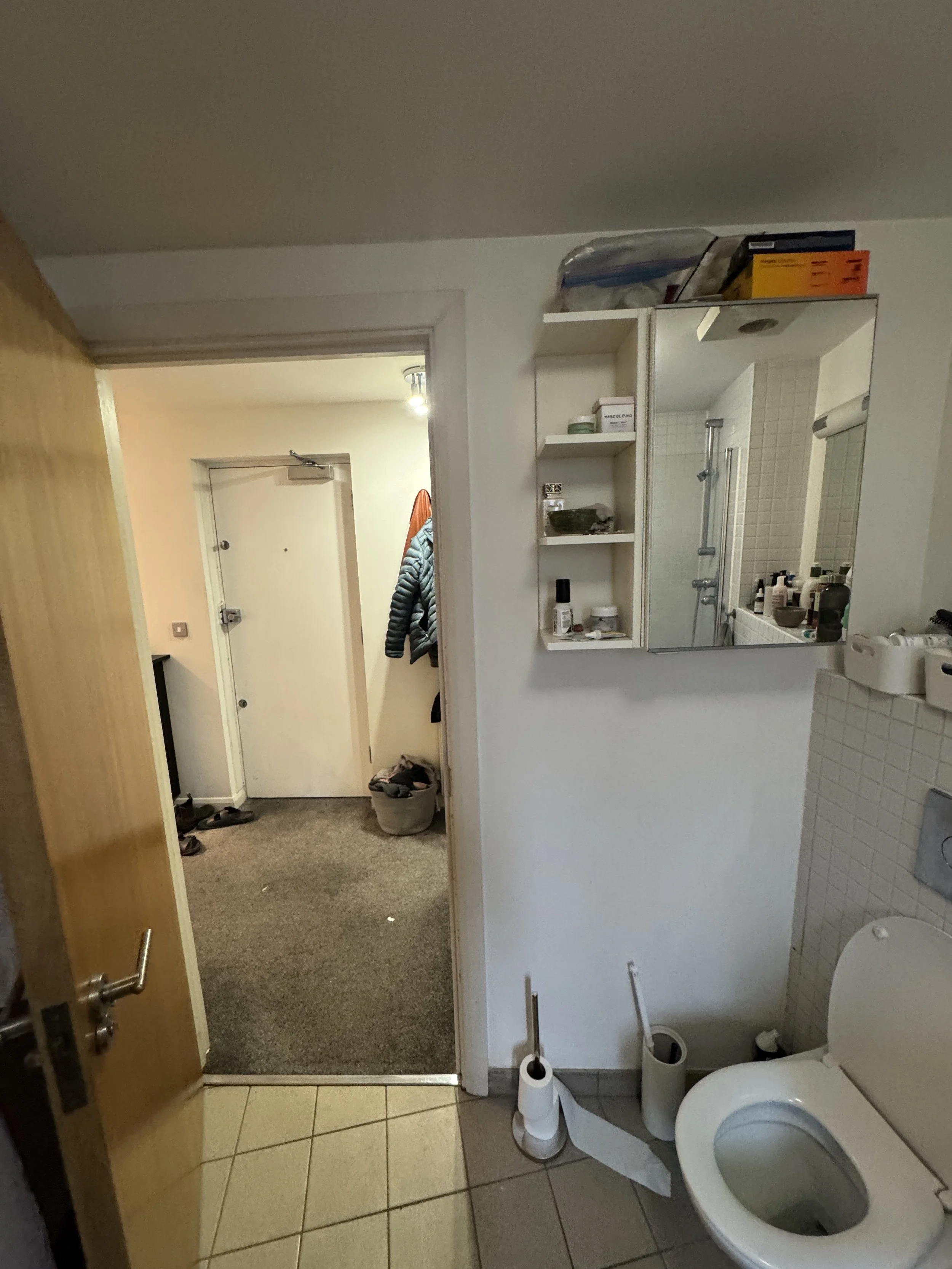 A small bathroom with a white toilet, and a mirrored cabinet above the sink. Toilet paper rolls and cleaning supplies are on the floor beside the toilet. To the right of the mirror, part of a shower stall with a glass door can be seen. The bathroom i