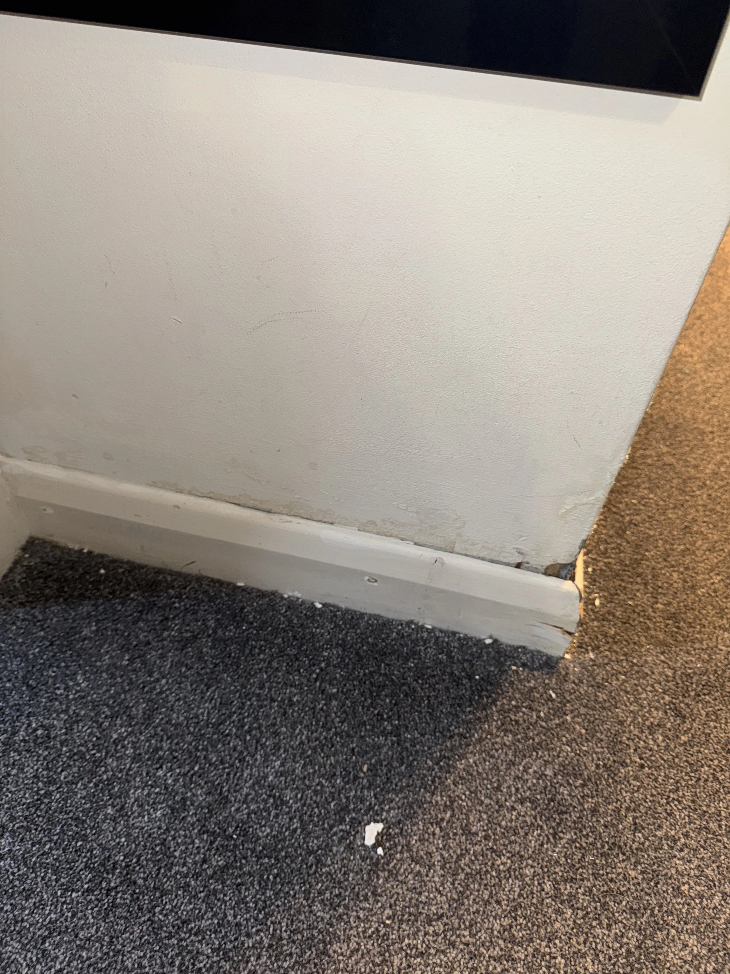 Close-up of a white wall with some scratches and marks near the bottom, next to a dark gray carpeted floor with some small debris.