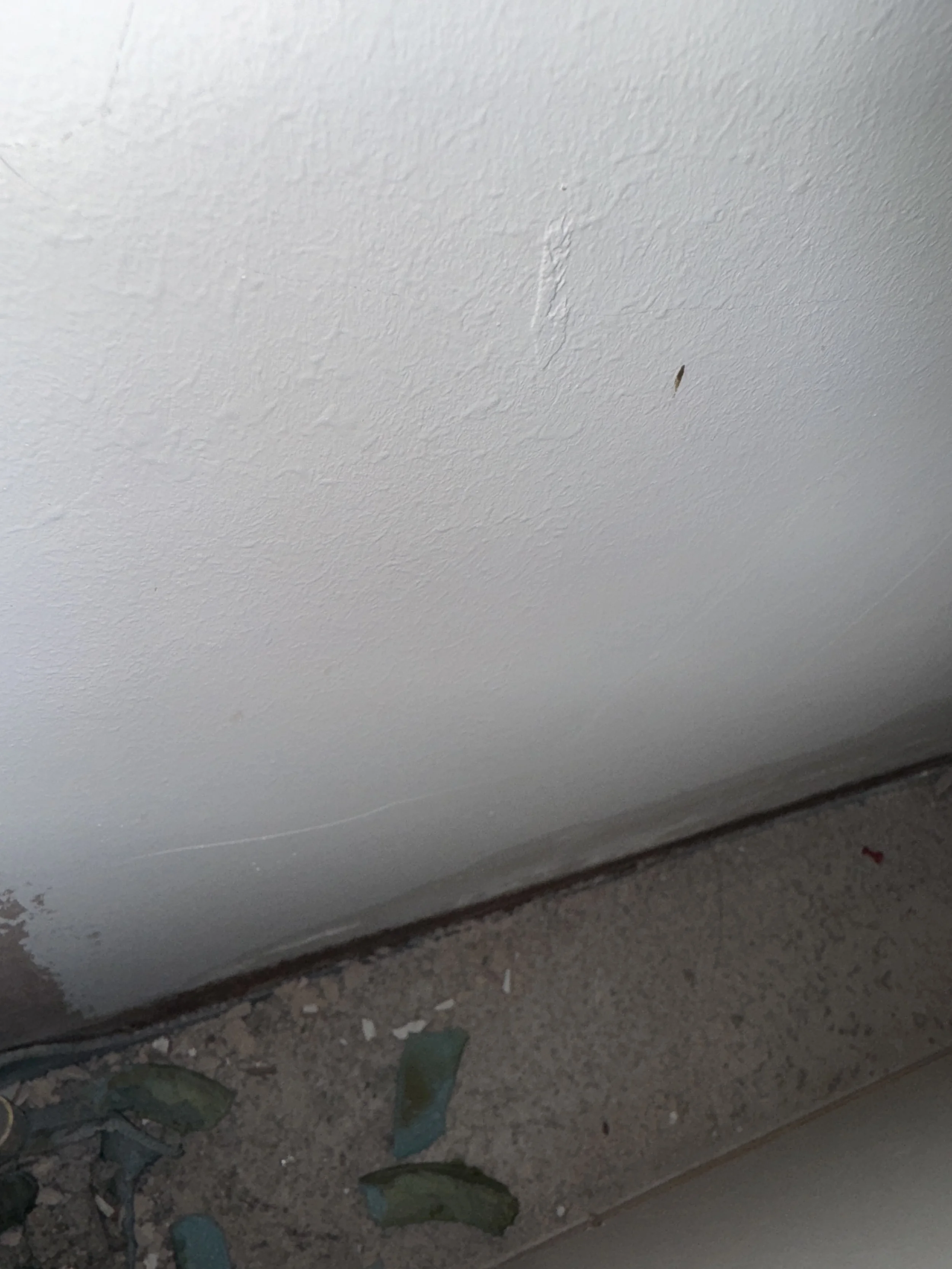 Close-up of a white painted wall with chipped paint and a small bug near the bottom. The lower part of the wall meets a side surface with peeling paint and debris on the floor.