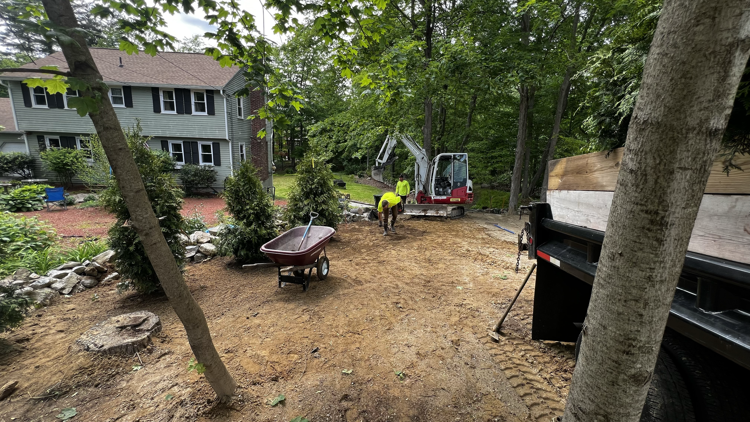 planting green giant arborvitae with excavator