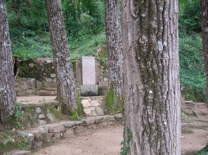 La Font de l’Oreneta y su estela de piedra vistas entre los troncos de los árboles