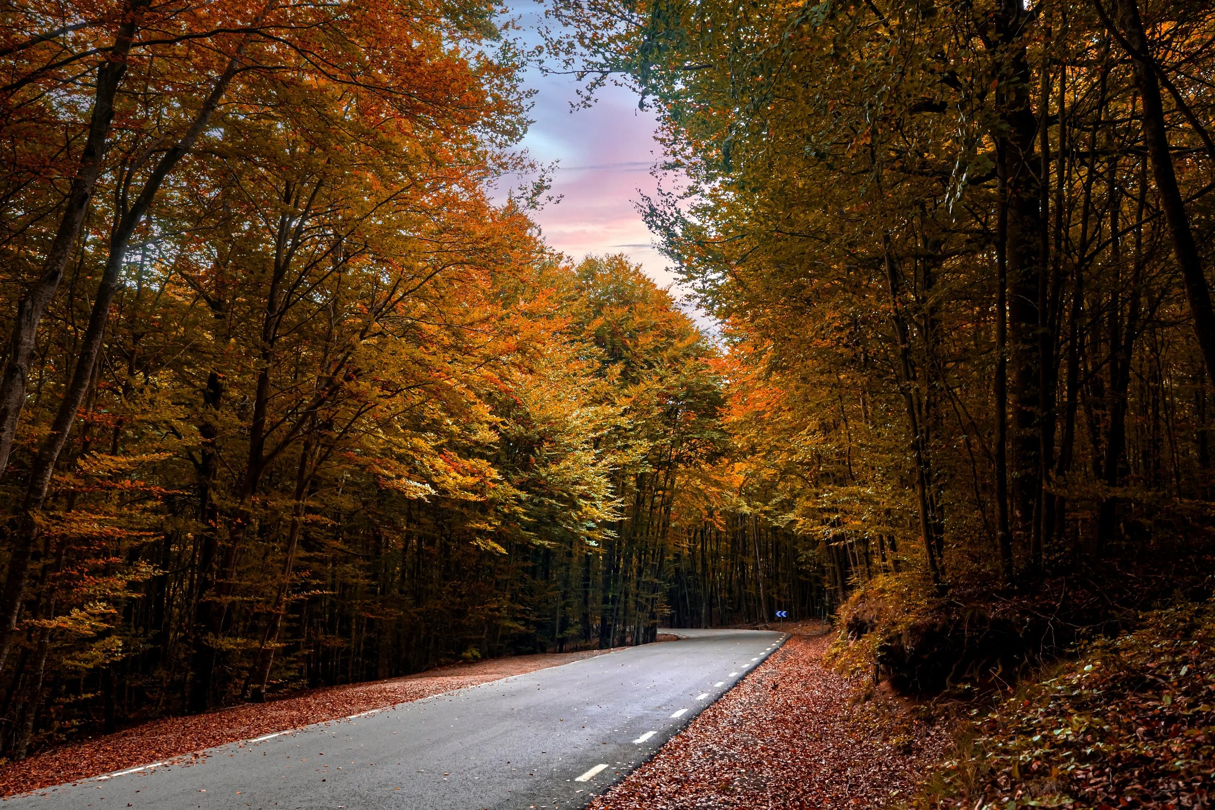 Las mejores rutas del Montseny: 10 excursiones para todos los niveles
