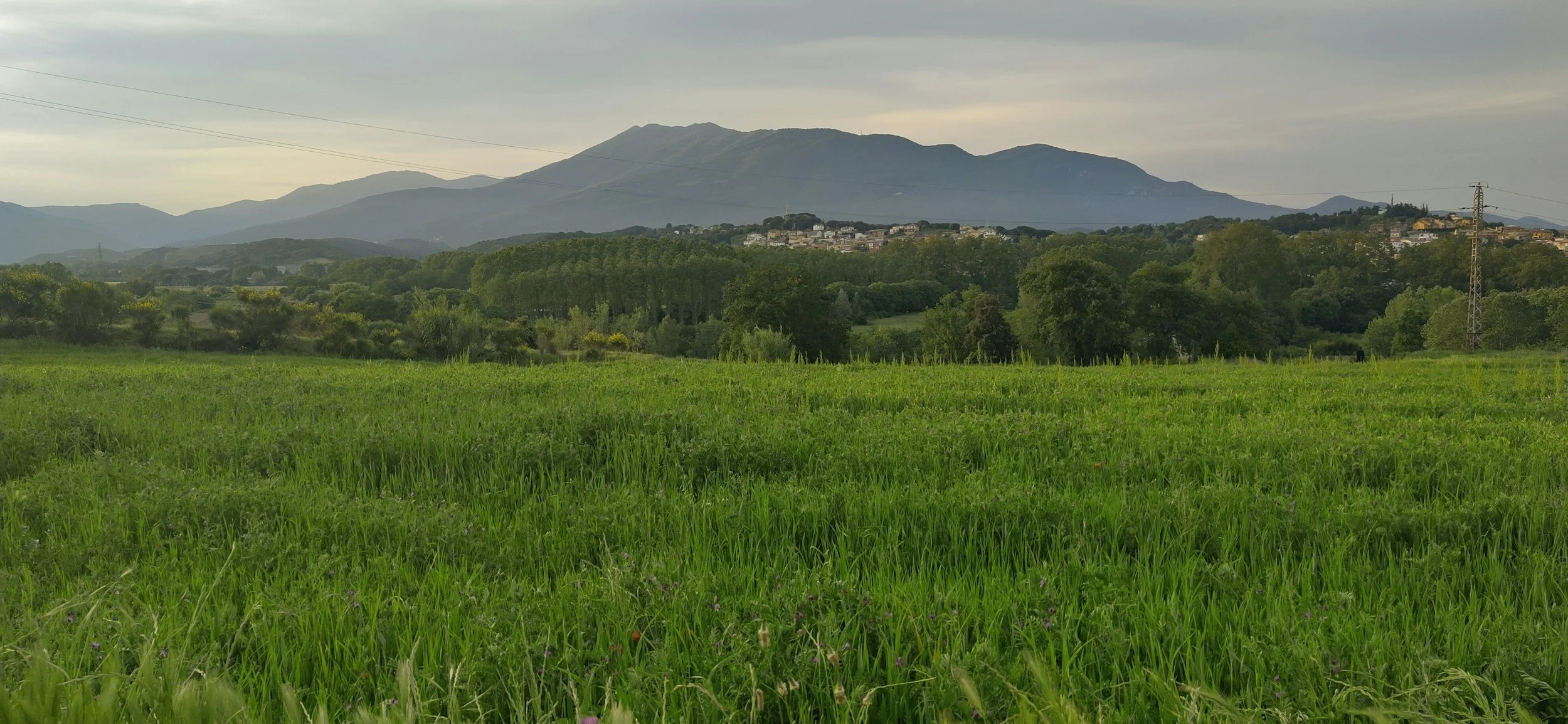 Guía del Montseny: qué ver, qué hacer y cómo organizar tu visita