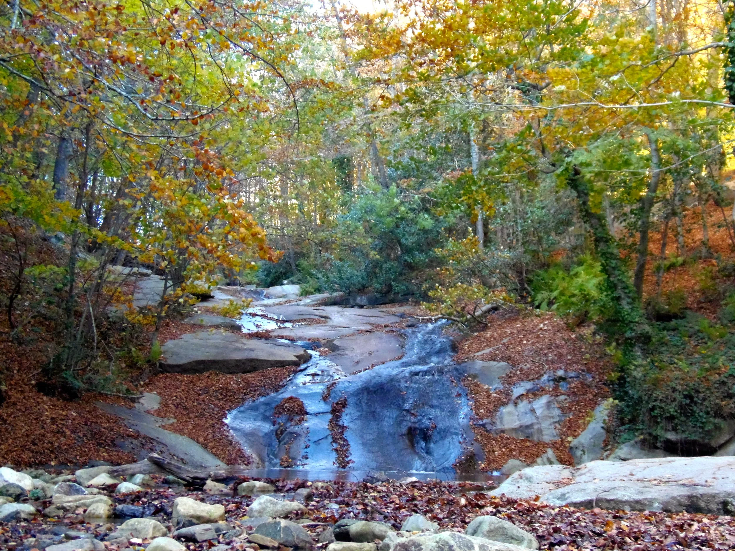 Dónde ver los colores de otoño en el Montseny