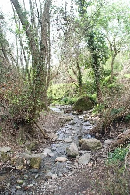 Cauce y vegetación de ribera de la riera de Vilamajor en Sant Pere de Vilamajor