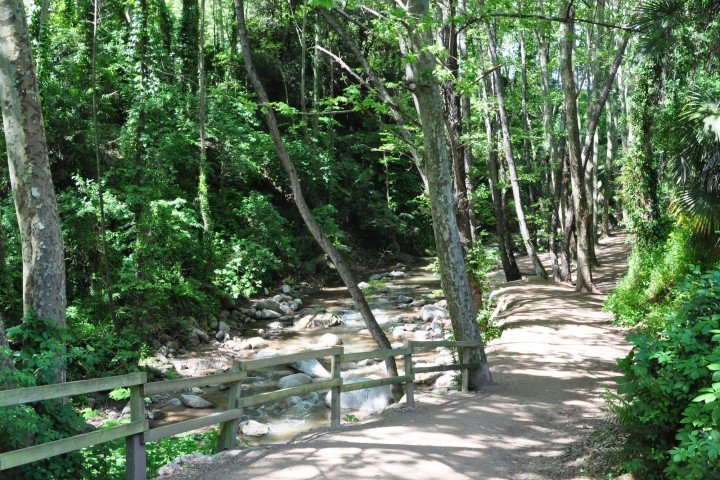 Camino arbolado del Passeig de la Riera de Arbúcies